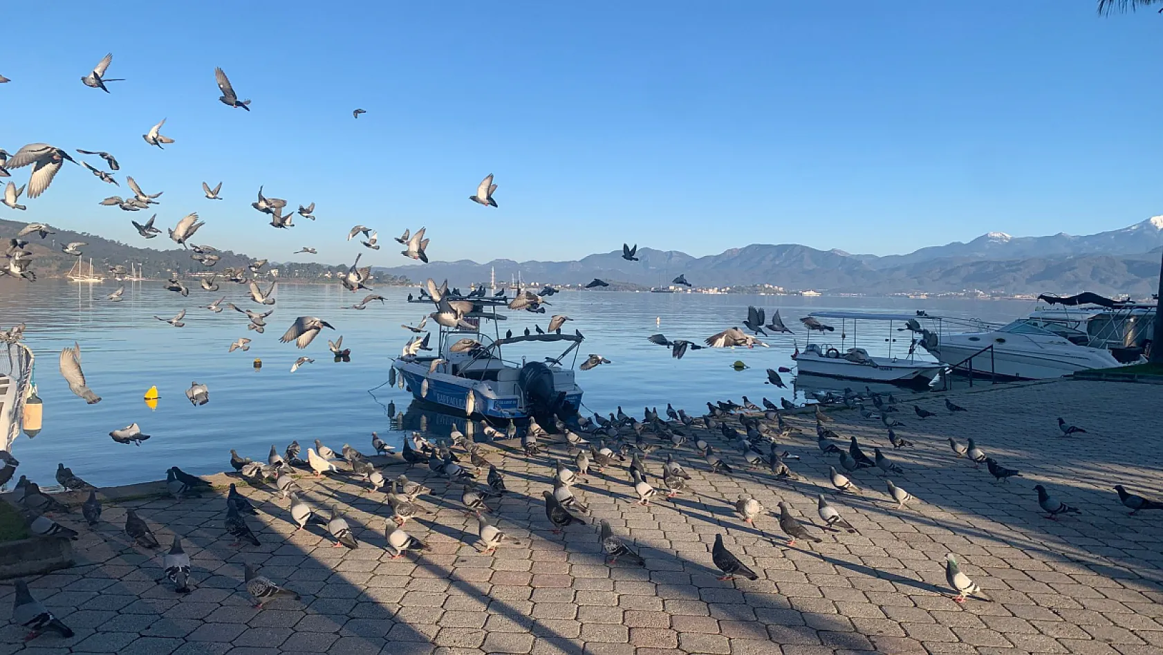 Fethiye'de yağışın ardından güneşli sabah: Sahilde umut veren manzara