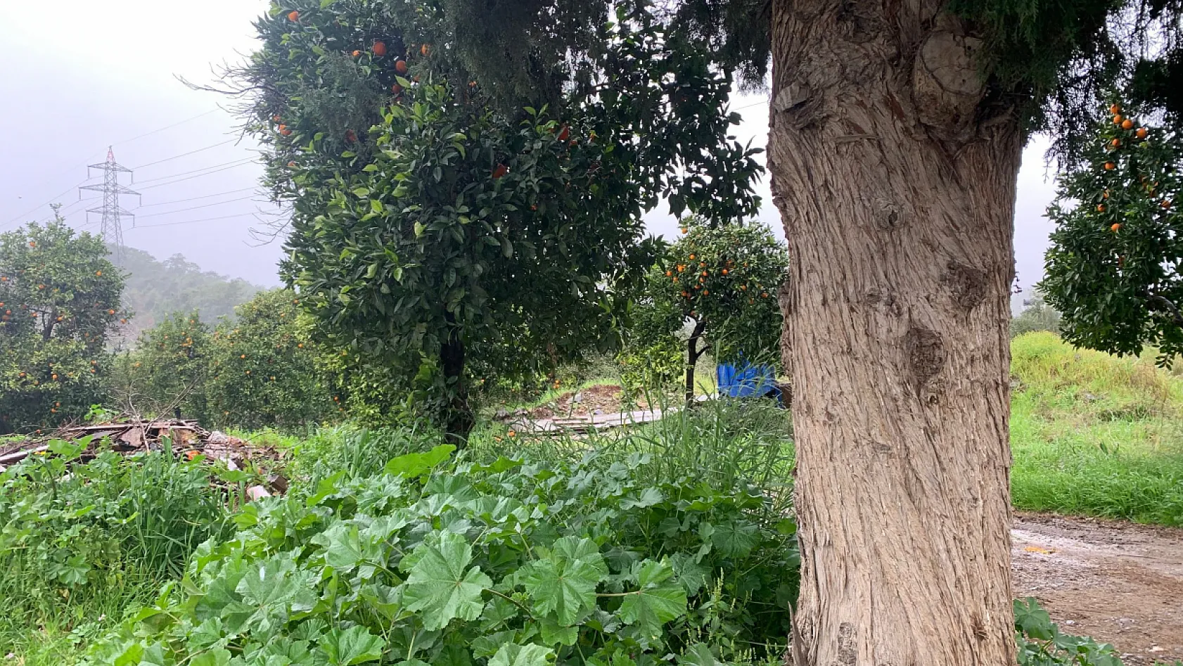 Fethiye'de Beklenen Yağış Başladı