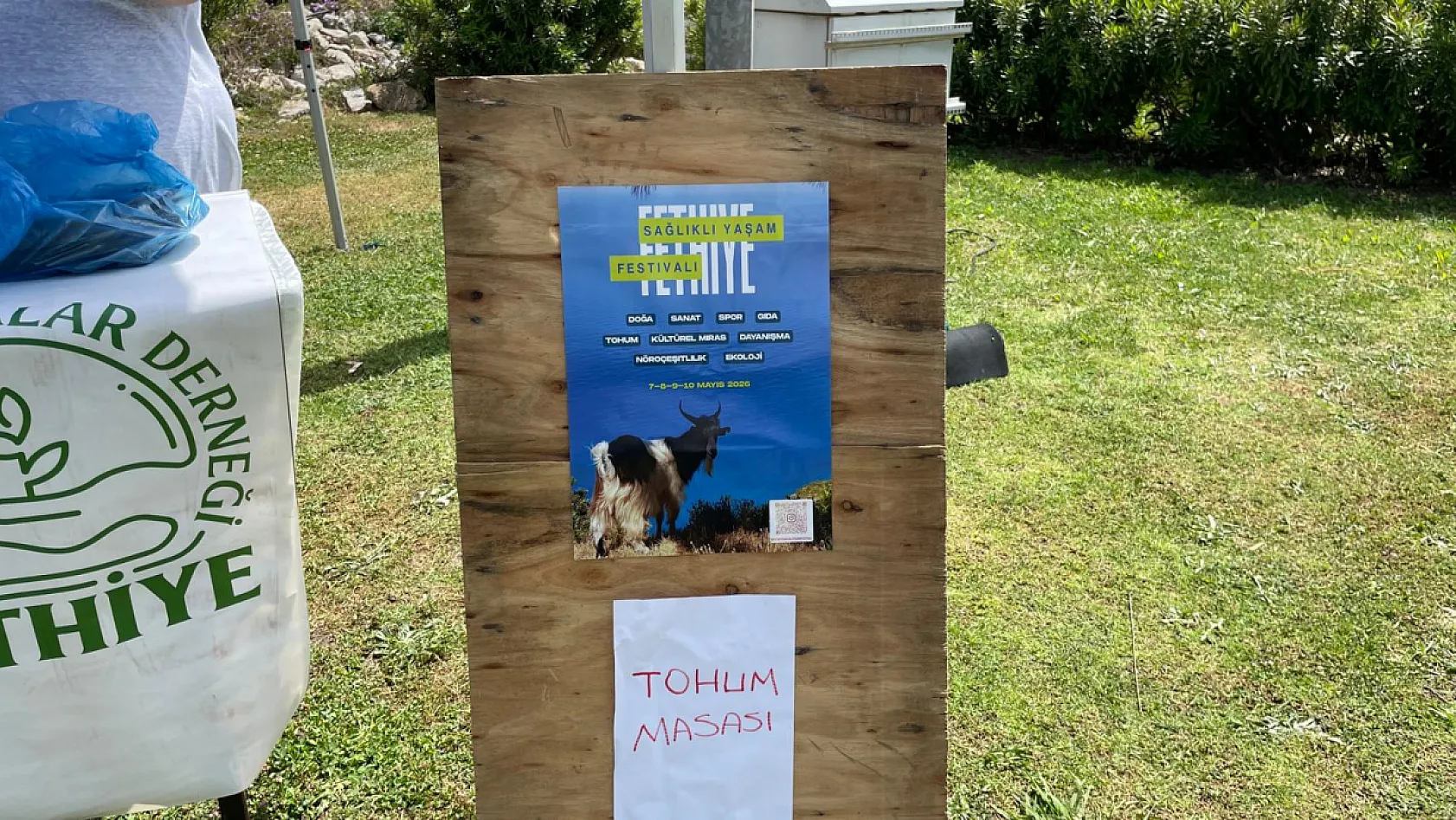 Fethiye'de yerel tohumlar Sağlıklı Yaşam Festivali'nde tanıtılıyor