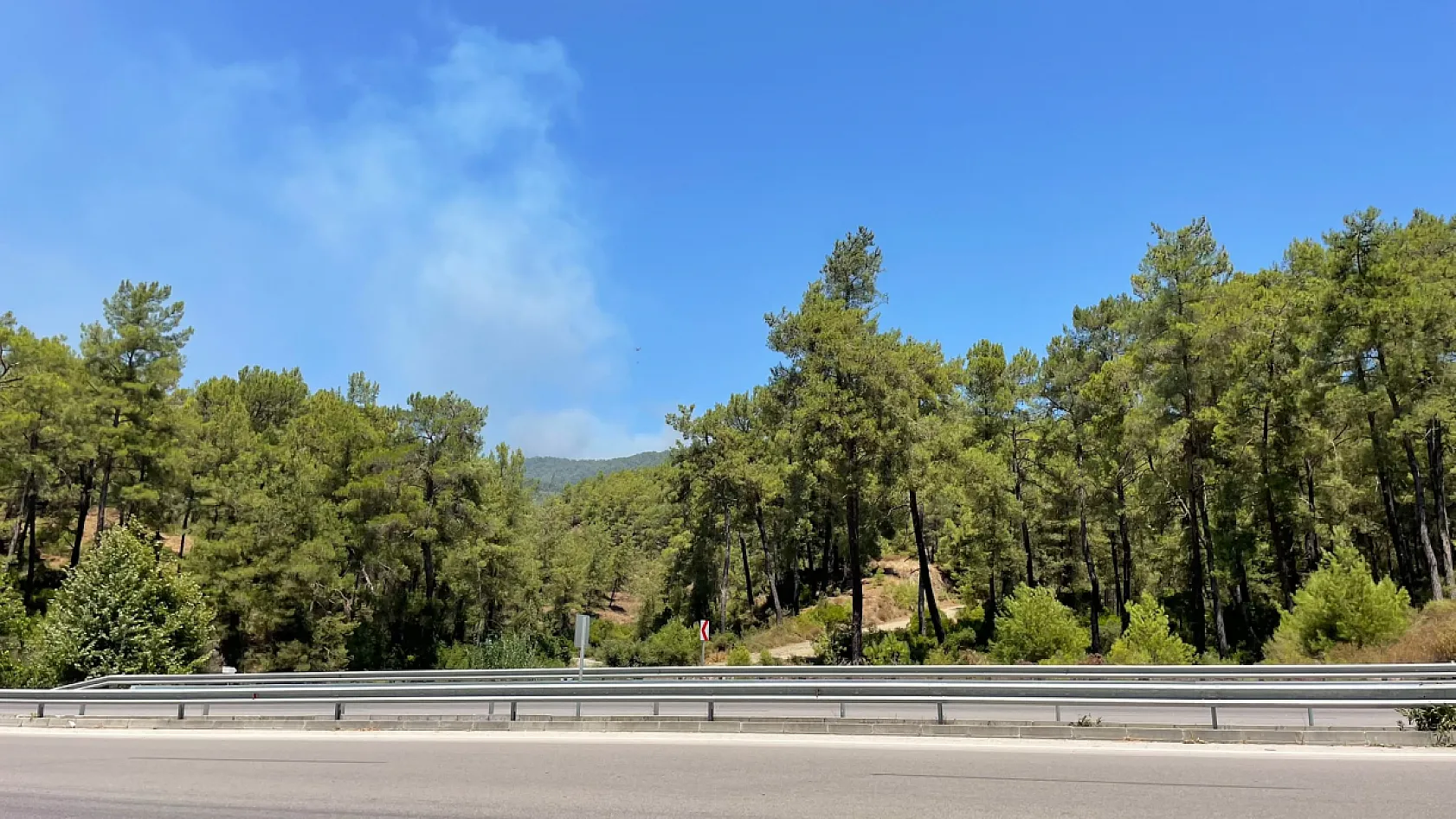 Fethiye Gökçeovacık'ta orman yangınına havadan ve karadan müdahale