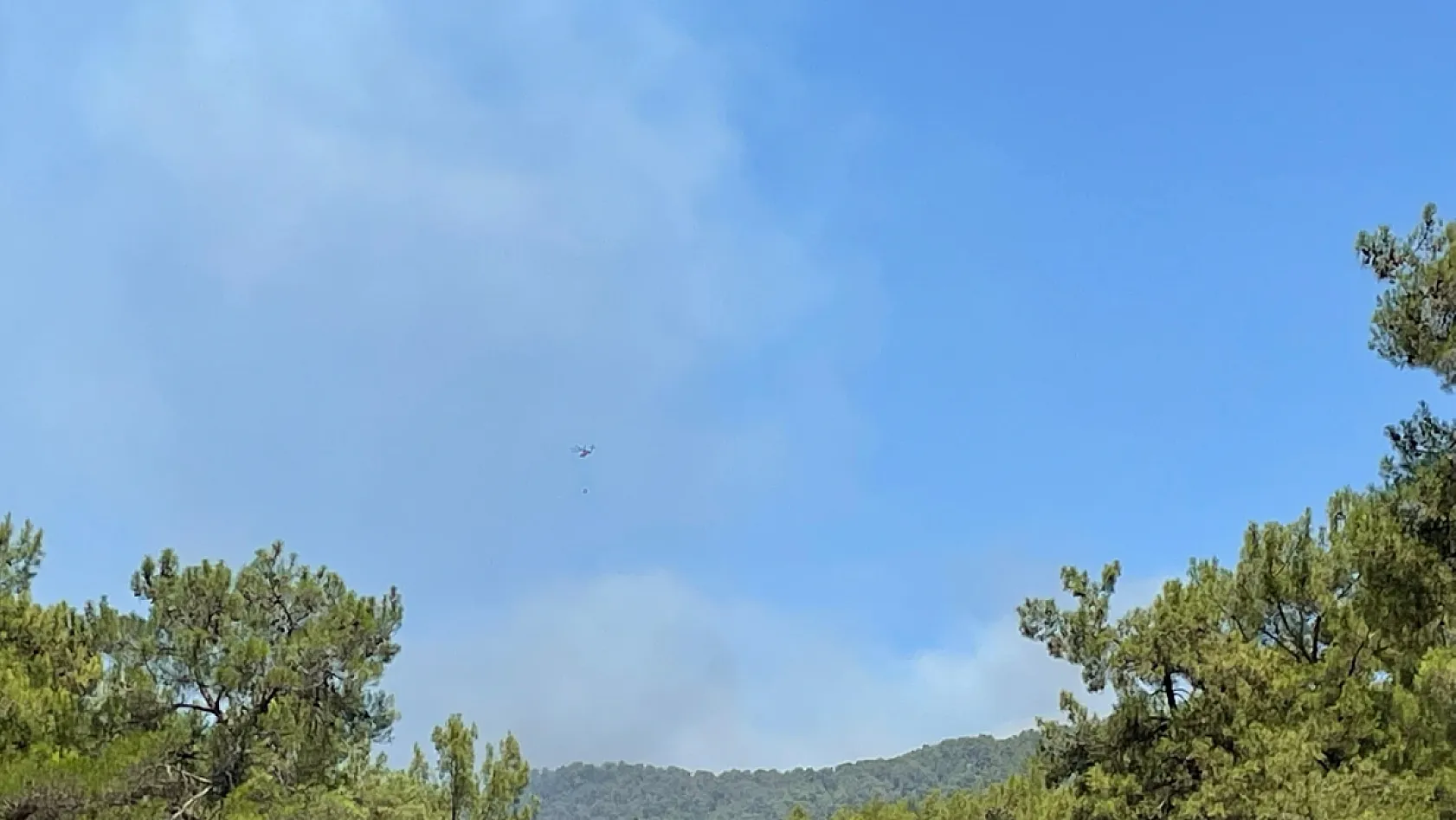 Fethiye Gökçeovacık'ta orman yangınına havadan ve karadan müdahale