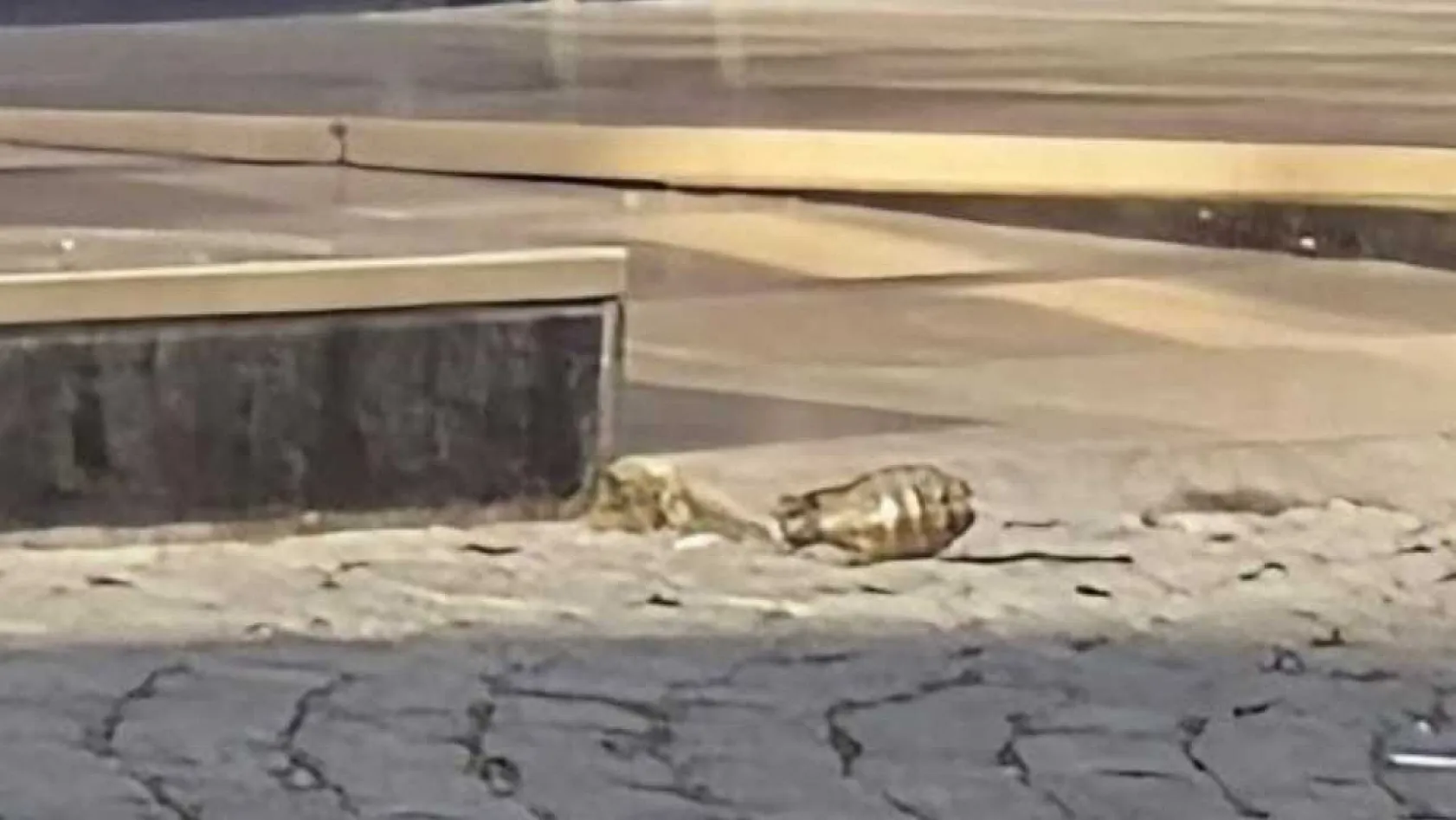 İstanbul'da otele el bombası atıldı