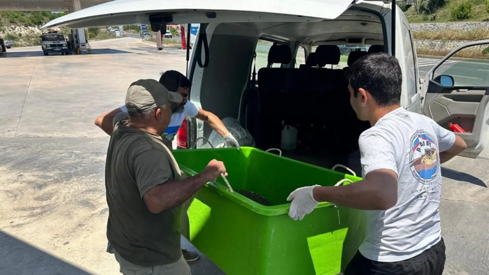 Yaralı Caretta caretta'ya yardım eli uzandı