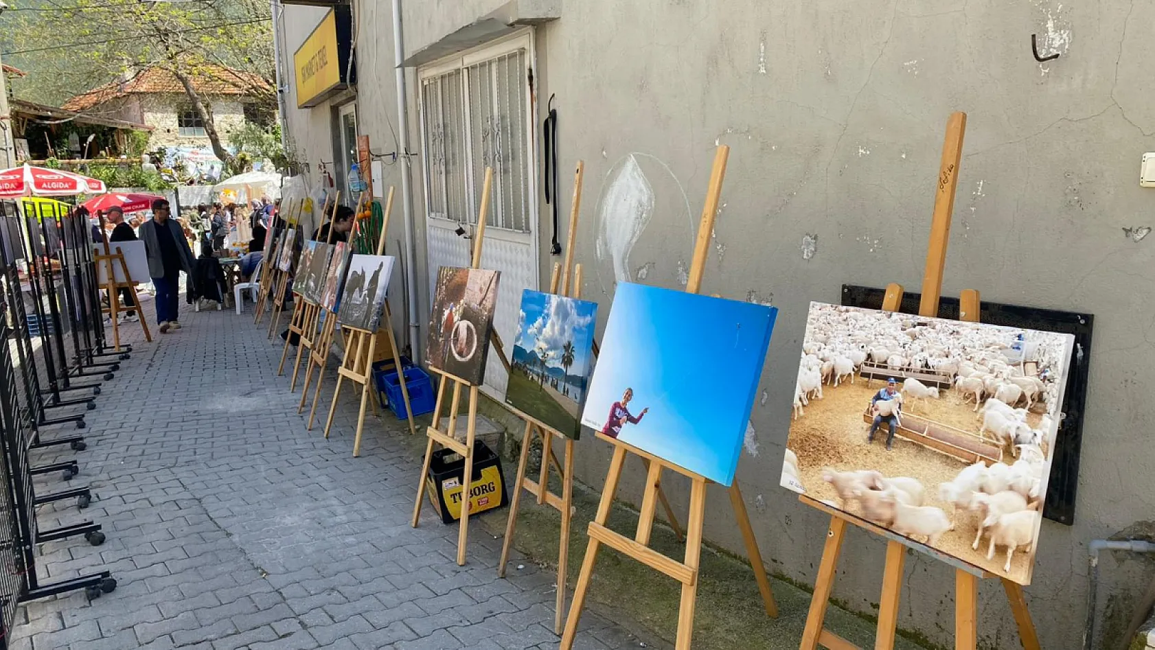 Yeşilüzümlü Festivalinde Fotoğraf Sergilerine Yoğun İlgi