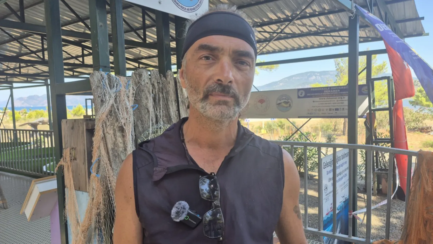 Muğla'da Yumurtadan Çıkan Caretta Caretta Yavruları Mavi Sulara Ulaşıyor