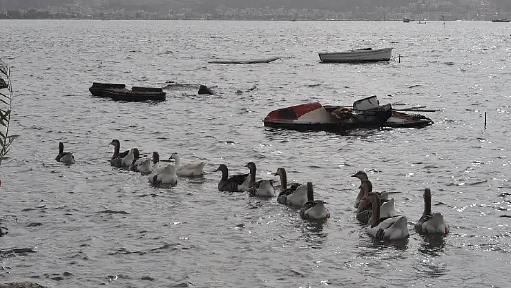 Fethiye'ye geri dönen Gezgin Deniz Pehlivan'dan çevre temizliği için anlamlı adım