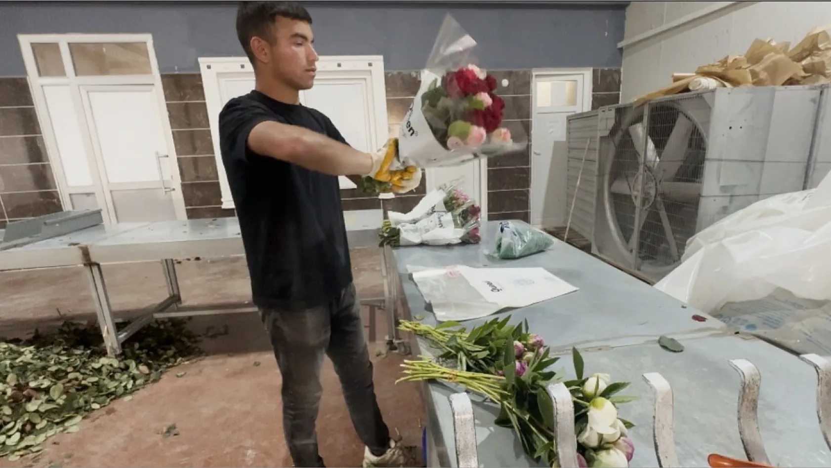 Tanesi toptancıya 150 TL'den satılıyor, Türkiye'nin 81 iline gönderiliyor
