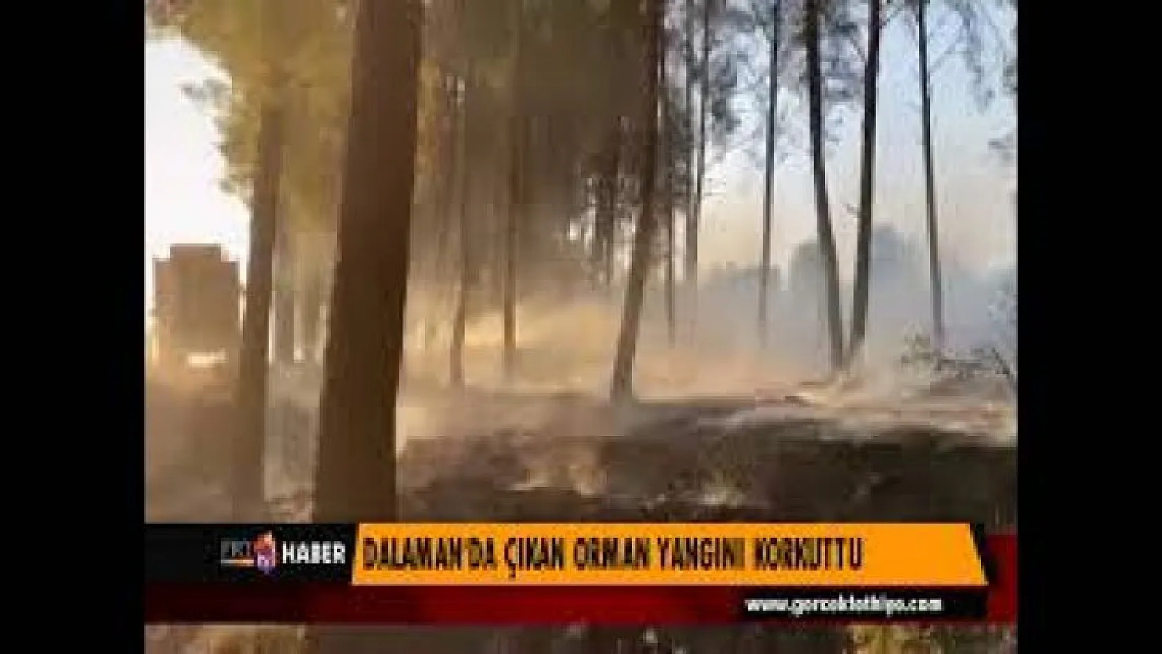 DALAMAN'DA ORMAN YANGINI KORKUTTU