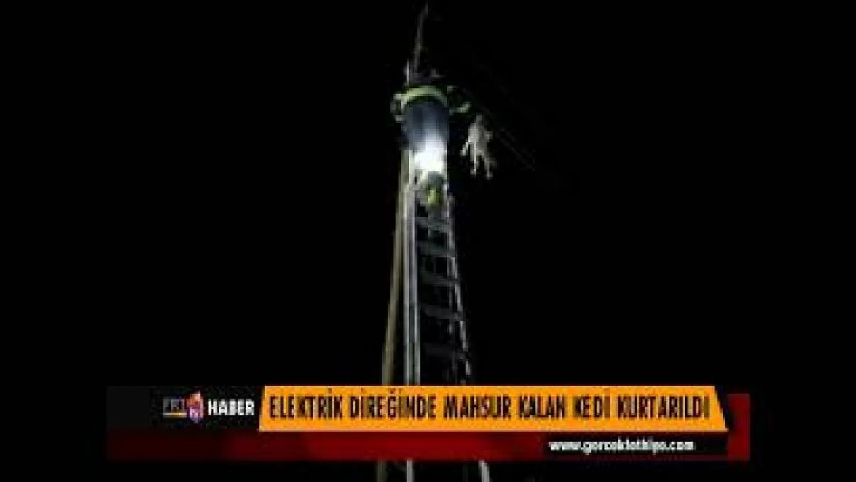 ELEKTRİK DİREĞİNDE MAHSUR KALAN KEDİ KURTARILDI