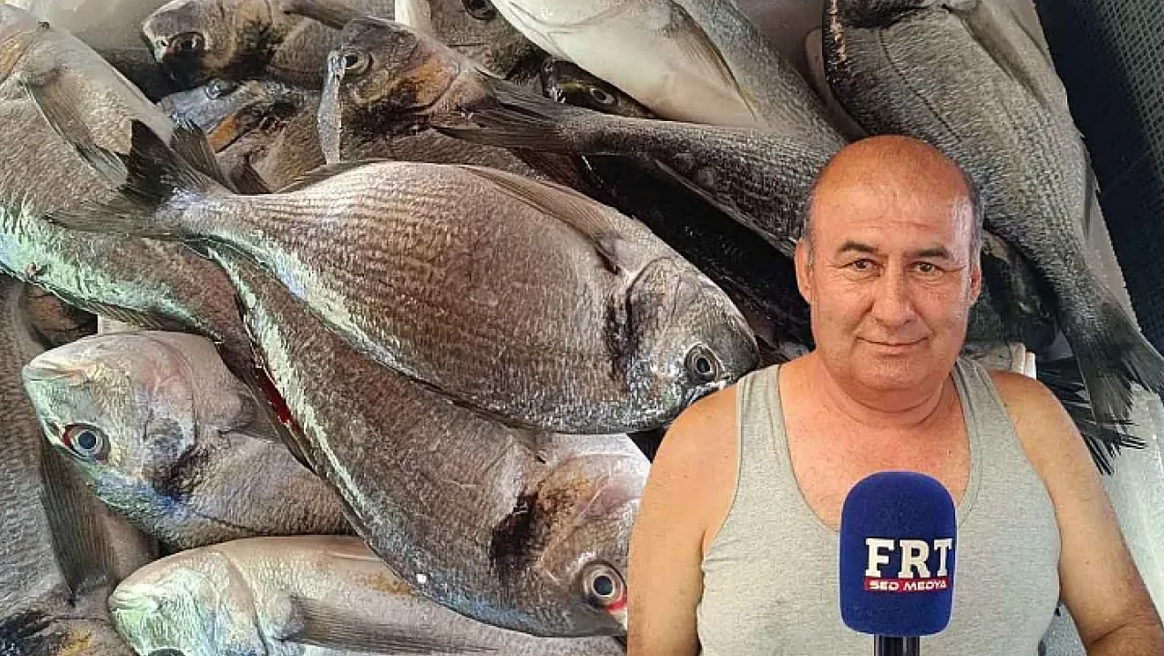 Fethiye Çalıca Balık Pazarı'ndan Vatandaşa Uygun Fiyatlı Balık