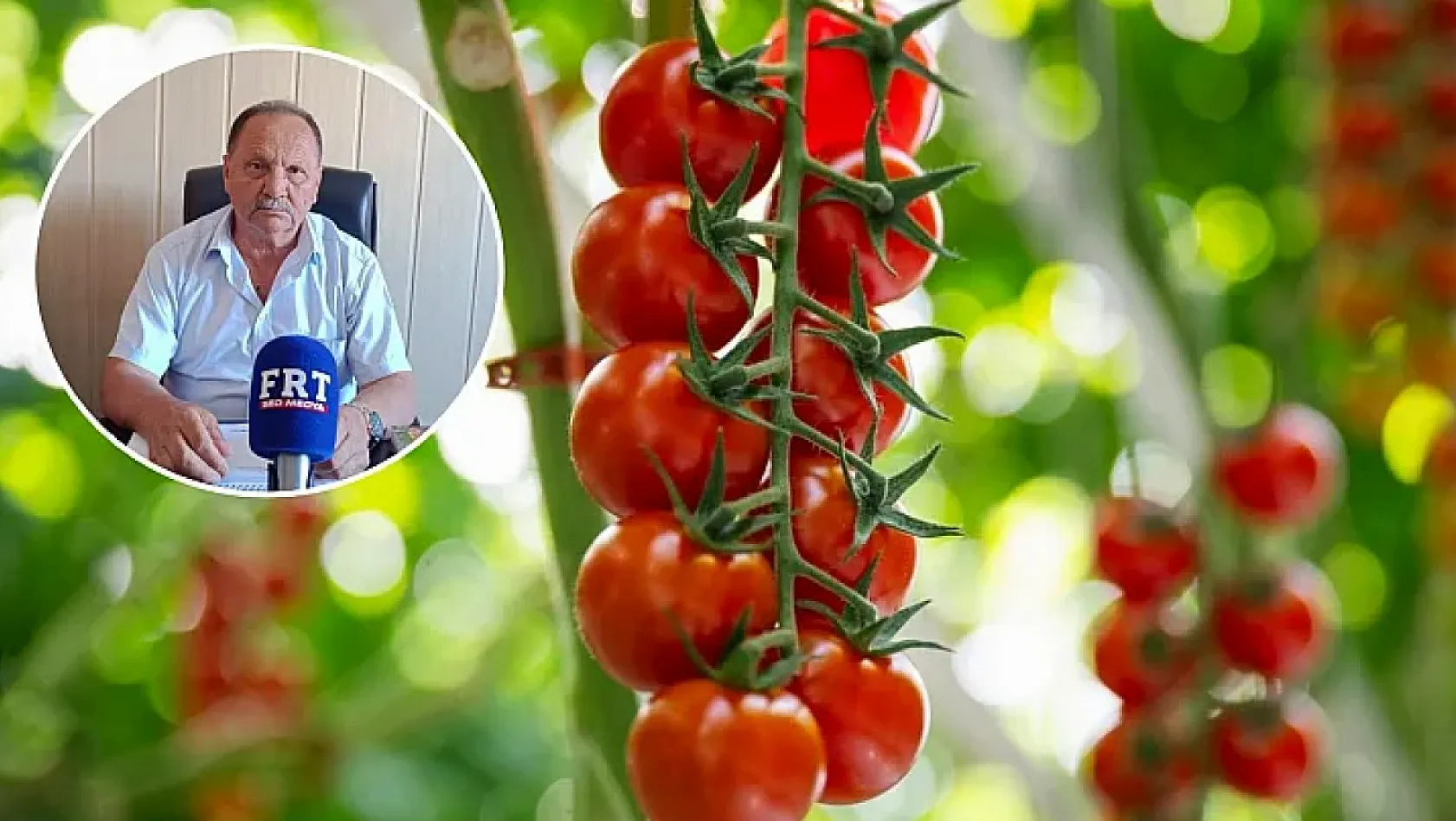 Fethiye'de domates sezonu sona yaklaştı: İç piyasa ve salça dönemi