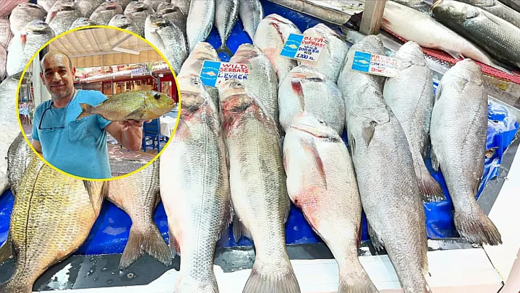 Fethiye'de tezgahlarda yazın balık bereketi: Fangri mercan ve deniz levreği öne çıkıyor