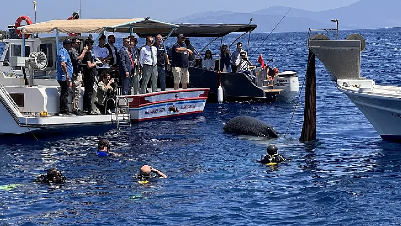Muğla Valisi Akbıyık'ın katılımıyla Bodrum'da hayalet ağ ve deniz temizliği yapıldı