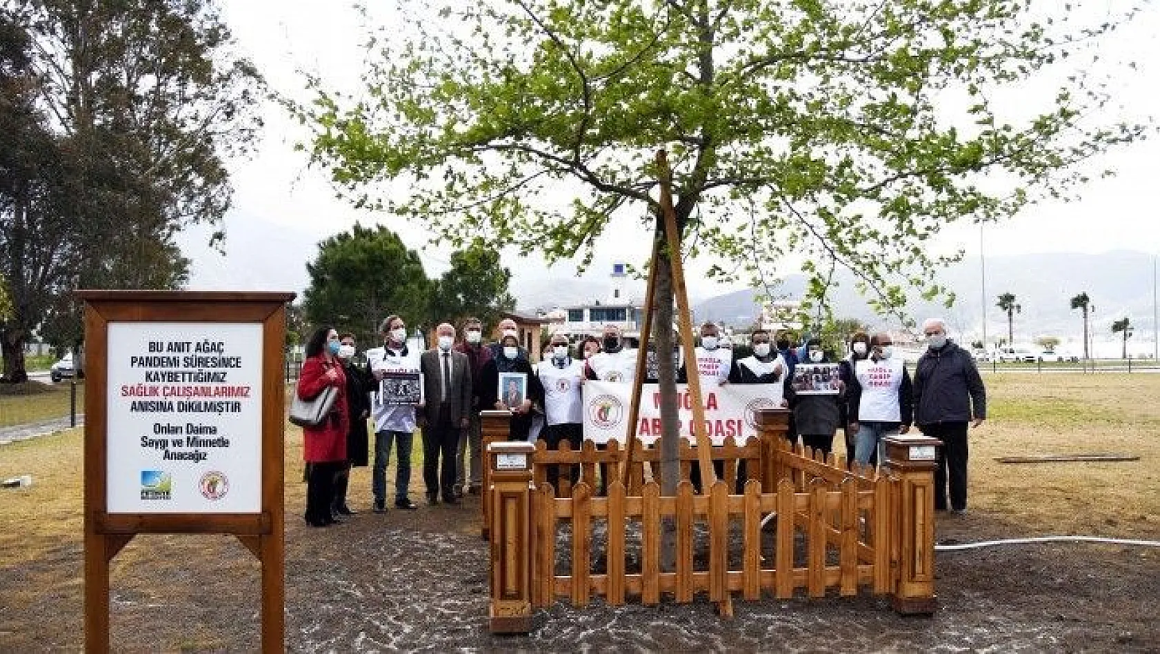 Sağlık Çalışanları için Anıt Ağaç dikildi