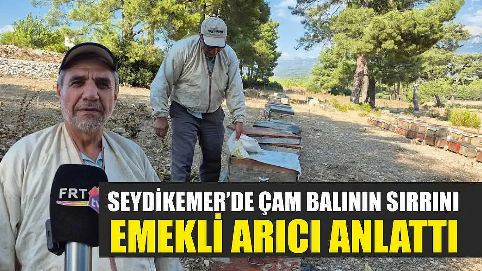 Seydikemer'de Çam Balının Sırrını Emekli Arıcı Anlattı