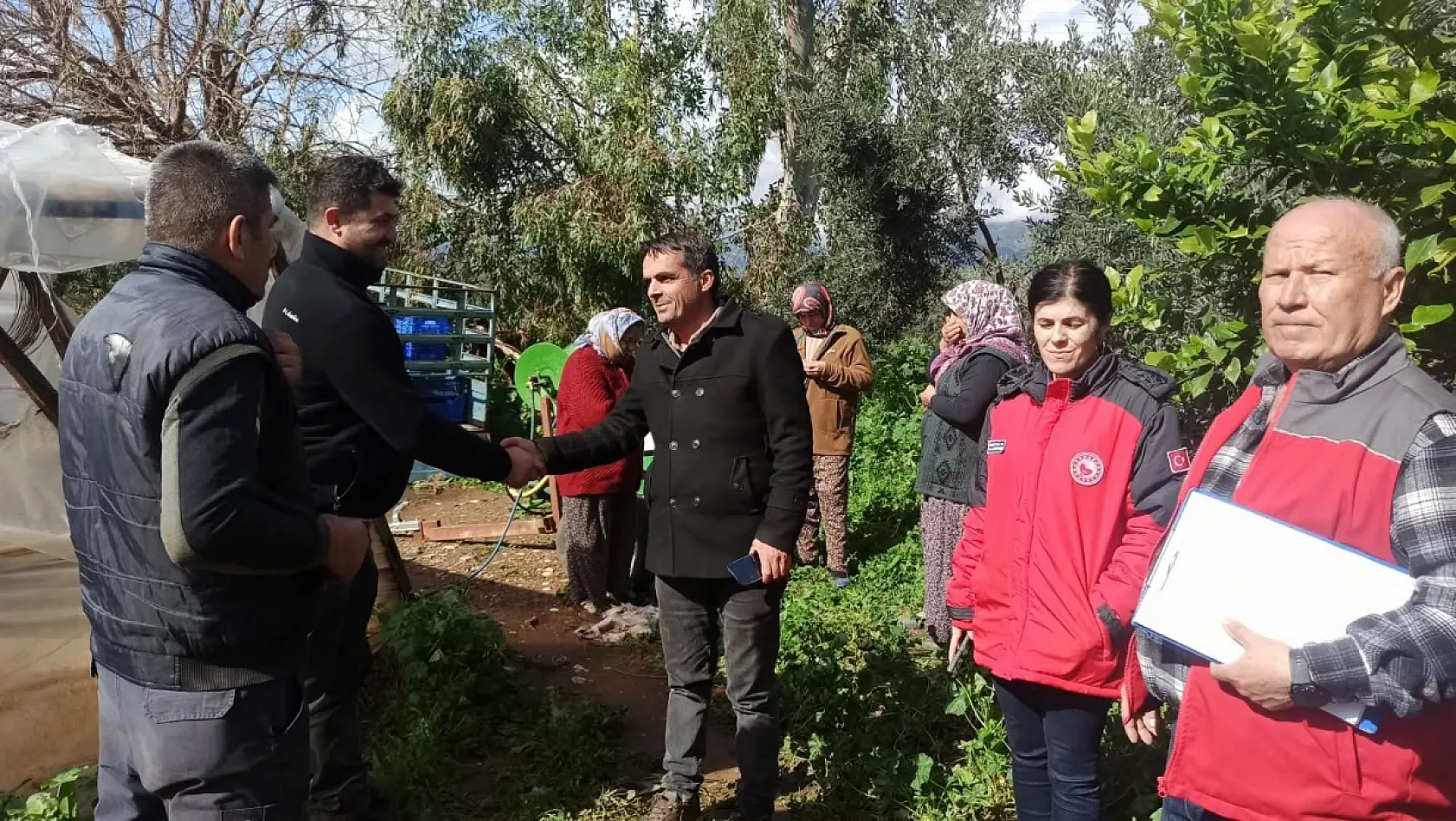 Fethiye'de fırtına hasarı: İlçe Tarım Müdürlüğü incelemeye başladı
