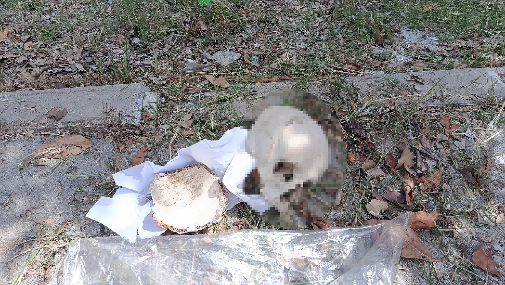 Çöp konteynerinden insan kafatası çıktı