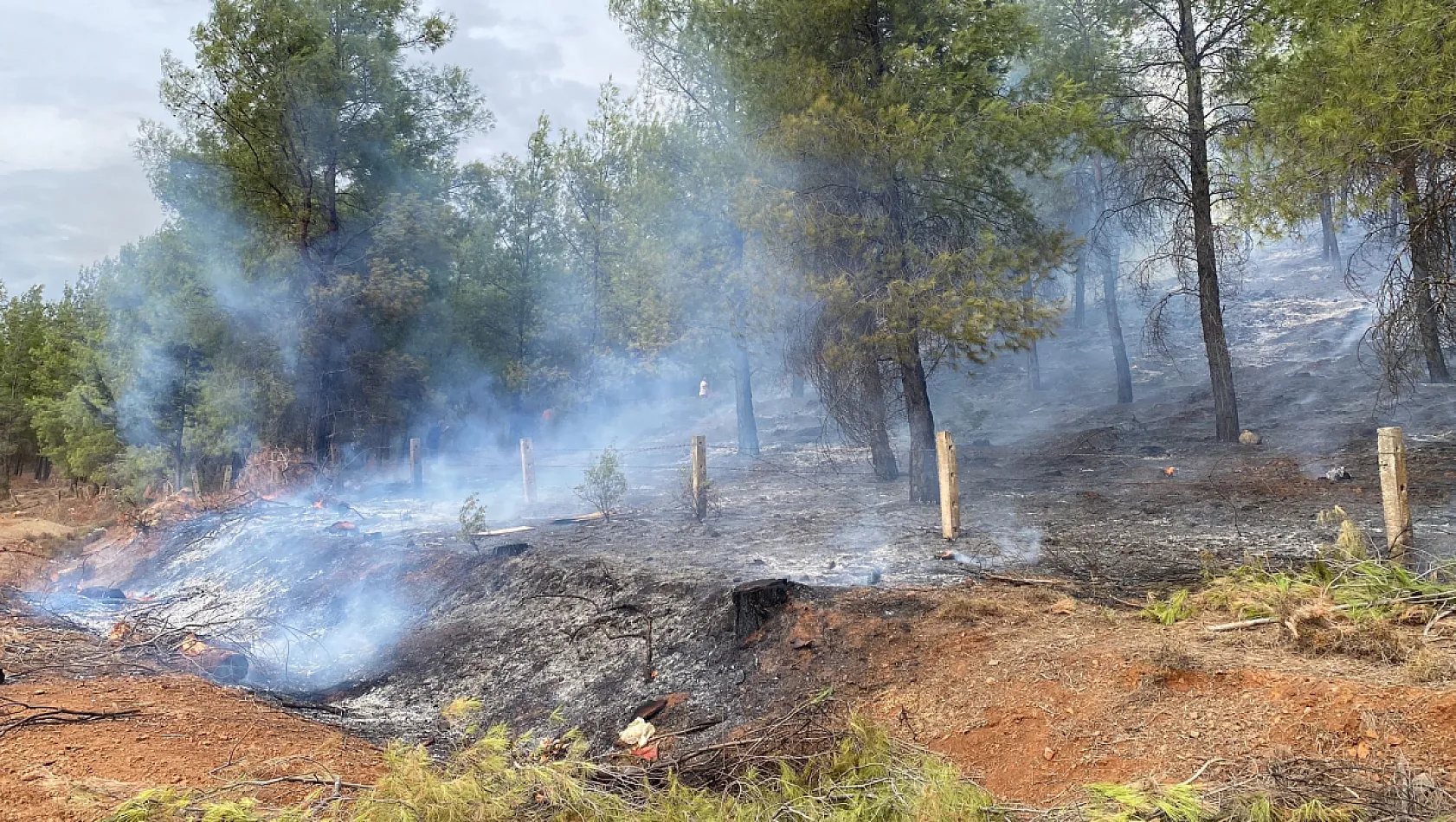 Seydikemer'deki Yangın, Şantiye Temizliğinde Yakılan Ateşten Çıkmış