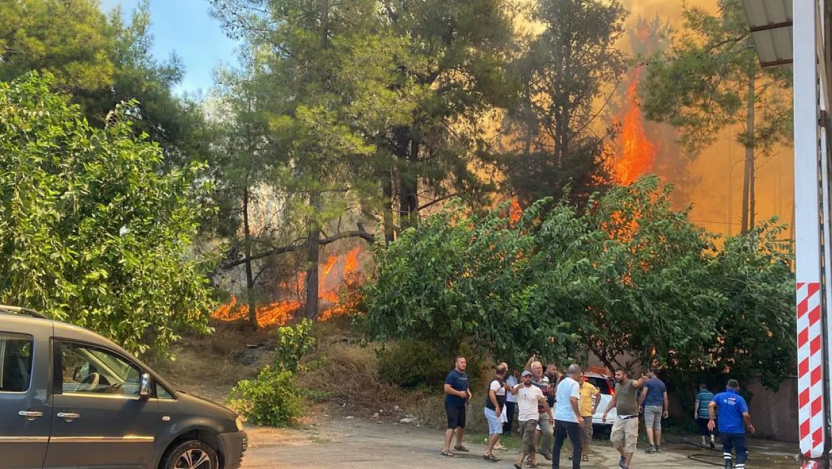 Antalya'da ormanlık alanda yangın paniği