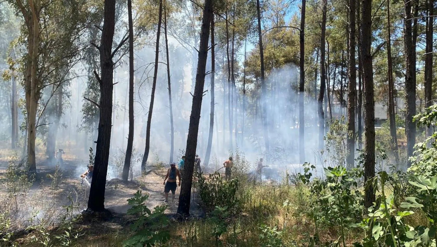 Antalya'da ormanlık alanda yangın paniği