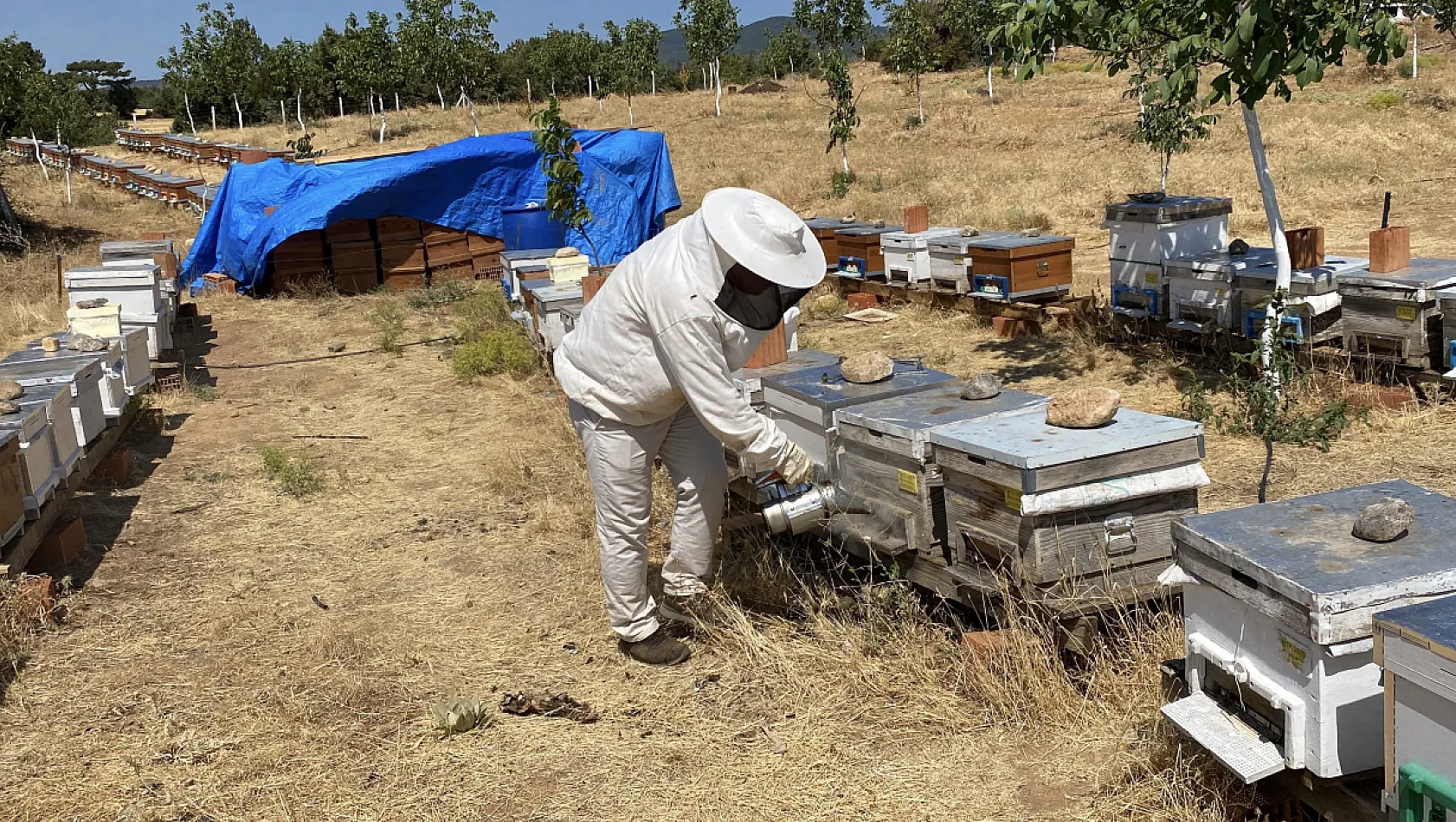 2 bin 925 prolin değeri ile dünyanın en iyi balını üretti