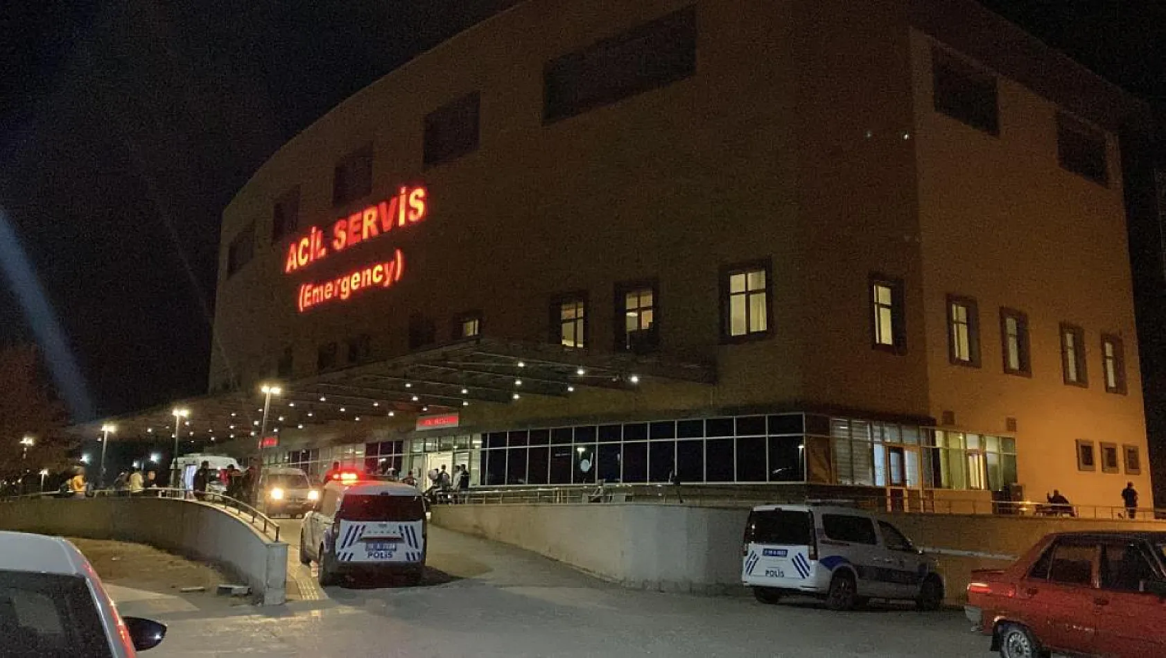 'Hayvan otlatma' kavgası kanlı bitti: Komşusunu öldürüp intihar etti