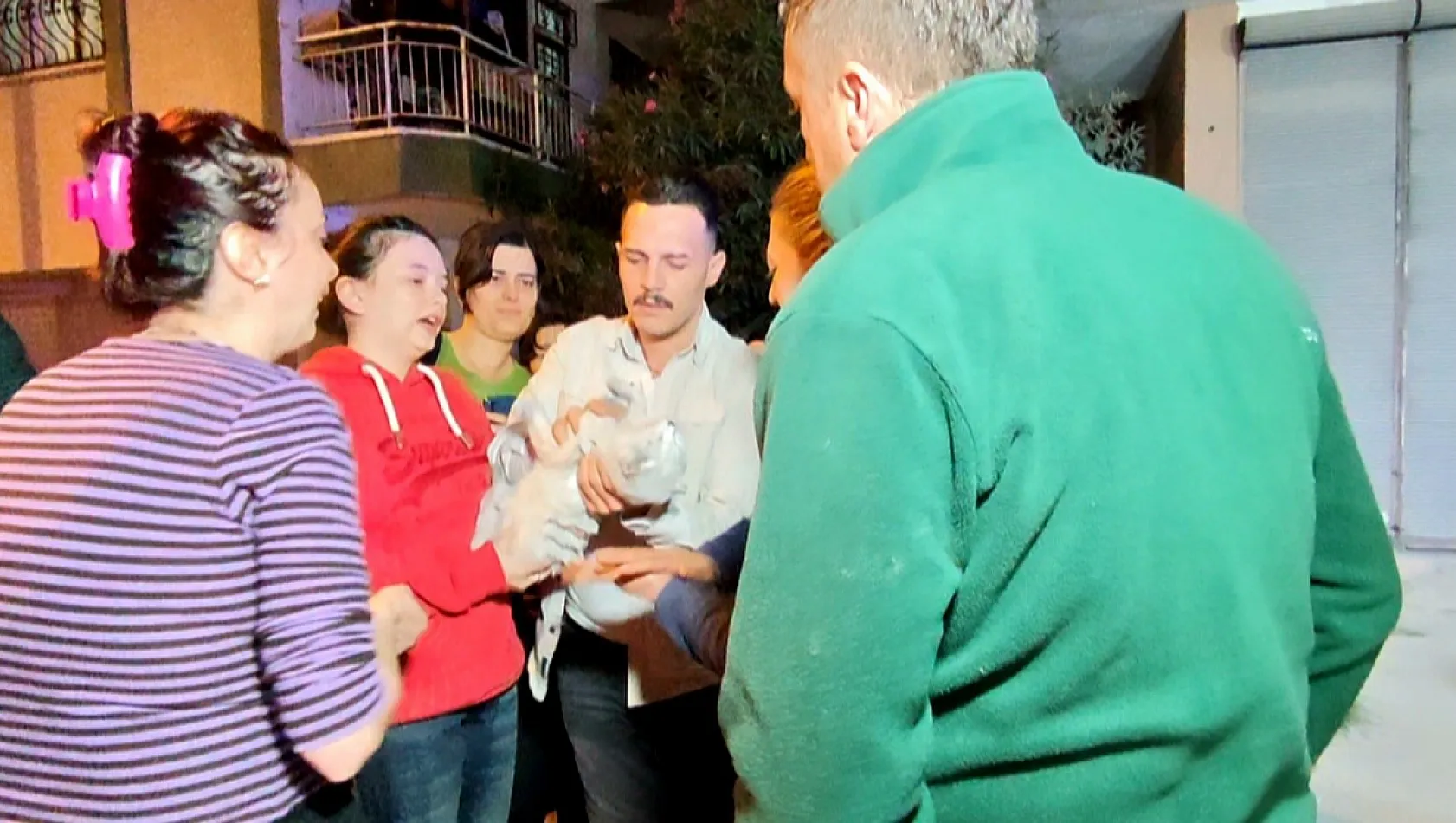 Yangında 2 kedi telef oldu, sahipleri gözyaşlarına boğuldu