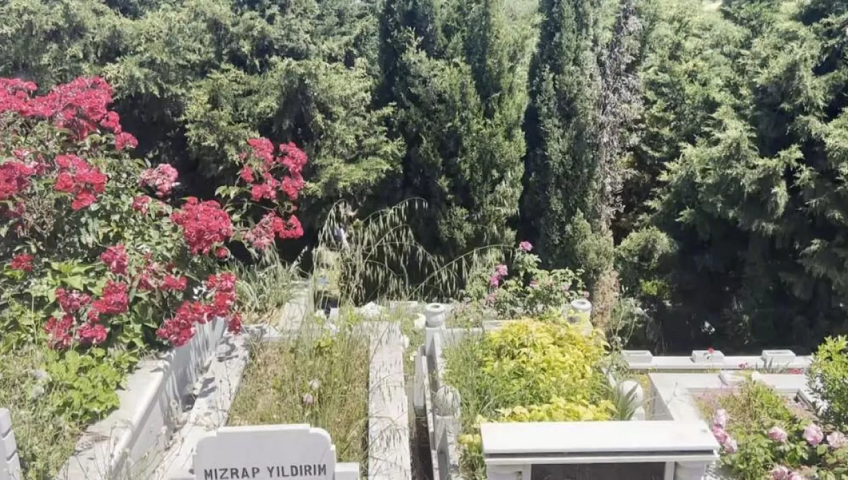 Mezarlıkta bebek cesedi bulundu