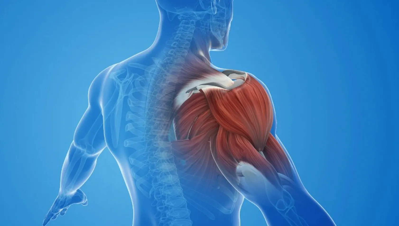Hayalet ağrı hastalığı erkeklere göre kadınlarda 10 kat fazla görülüyor