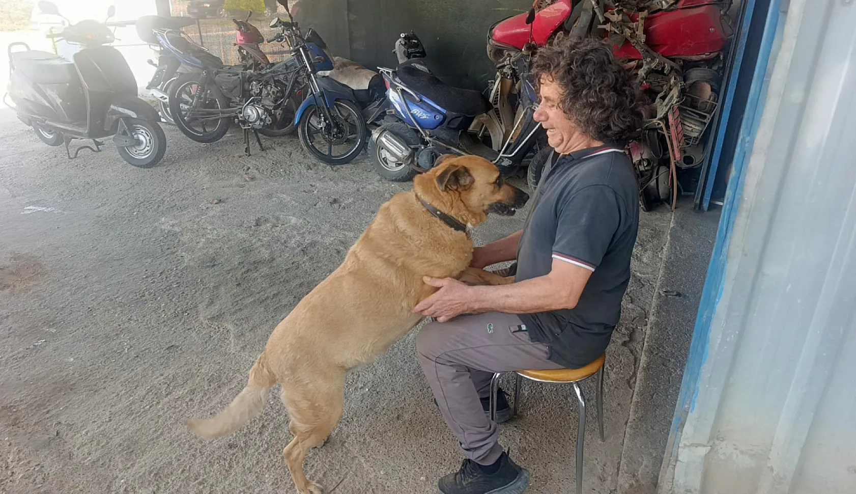Gözleri görmeyen köpeğe 13 yıldır evladı gibi bakıyor