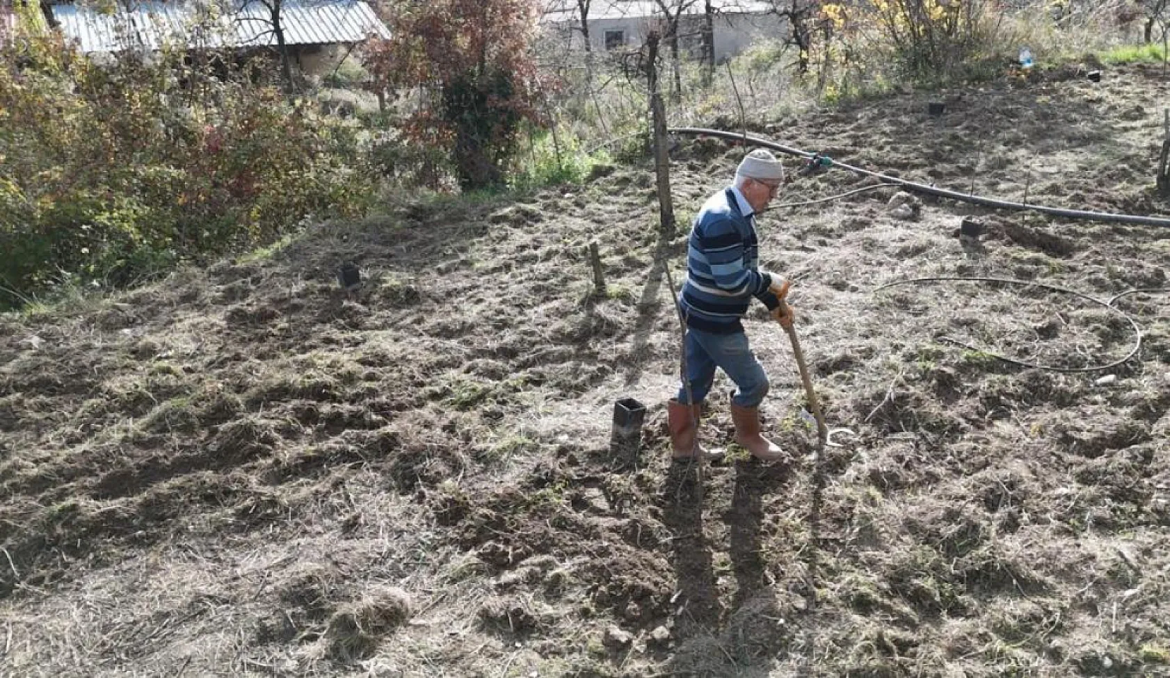 82 yaşındaki yeminli mali müşavirden köy hayatına örnek proje