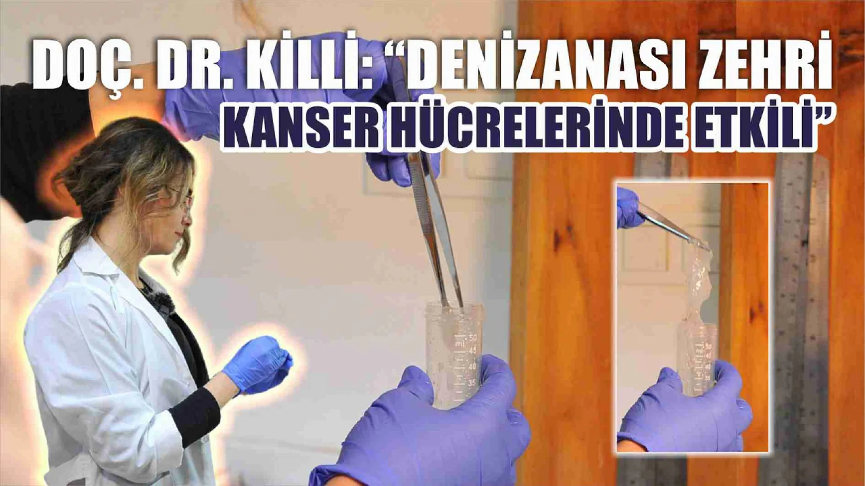 Doç. Dr. Killi: “Denizanası Zehri Kanser Hücrelerinde Etkili”