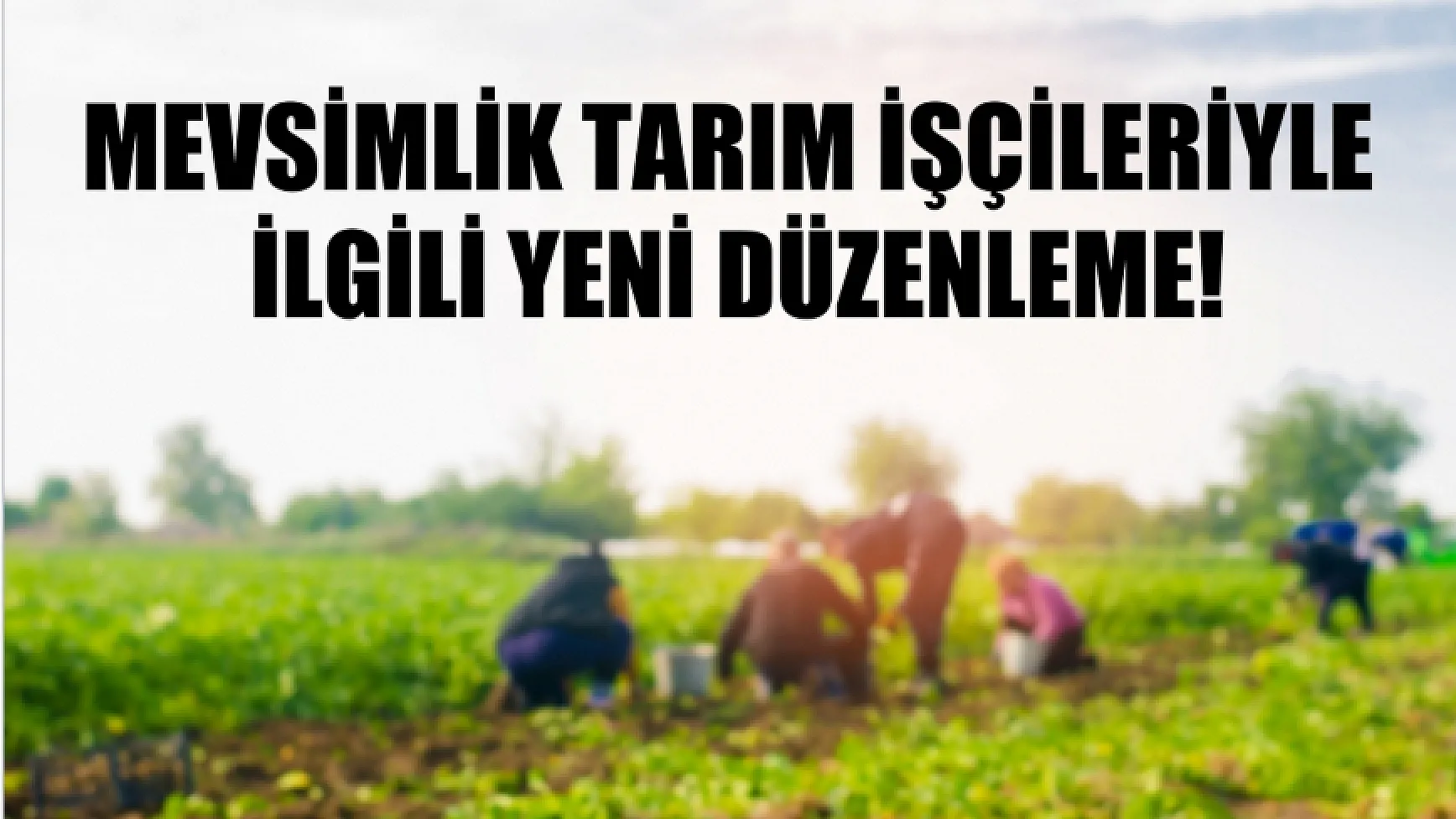 Erdoğan imzaladı: Mevsimlik tarım işçileriyle ilgili yeni düzenleme!