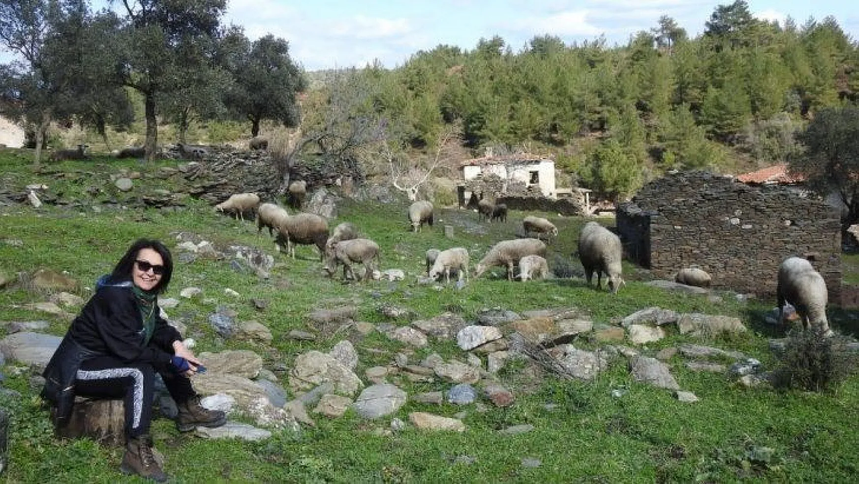 2 asırlık köy, koyunlara kaldı