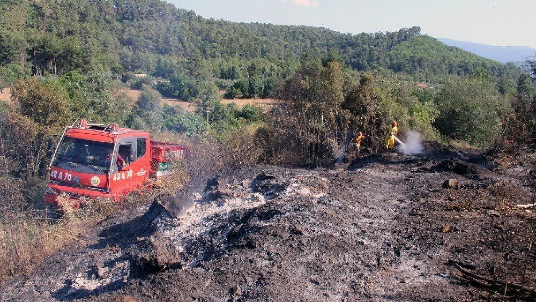 Ula'da 2 hektar alan yandı