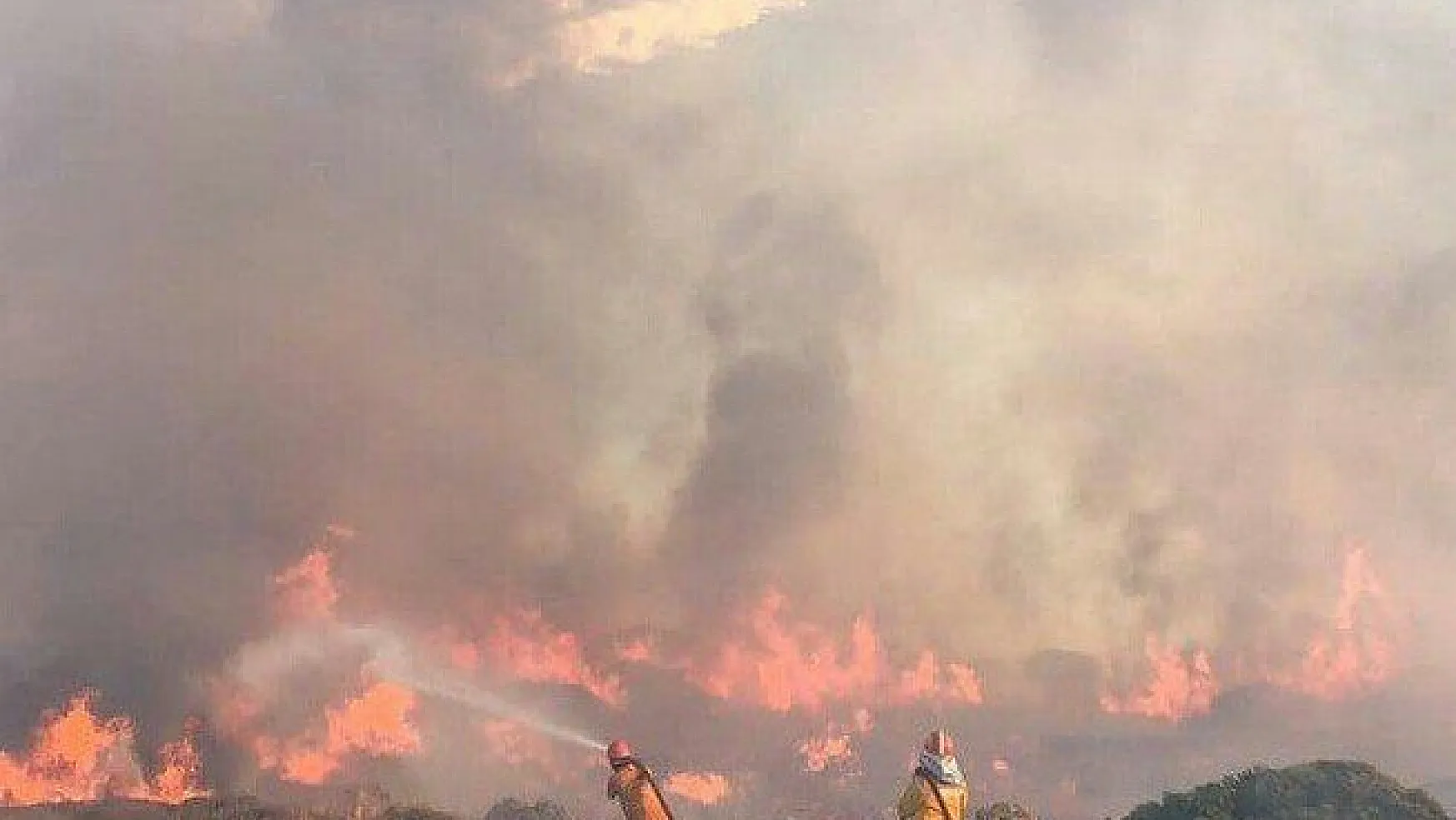 Bodrum'da çıkan yangında 40 hektarlık alan kül oldu