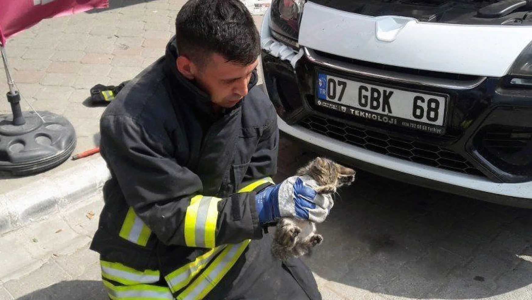 İtfaiye'den kedi kurtarma operasyonu