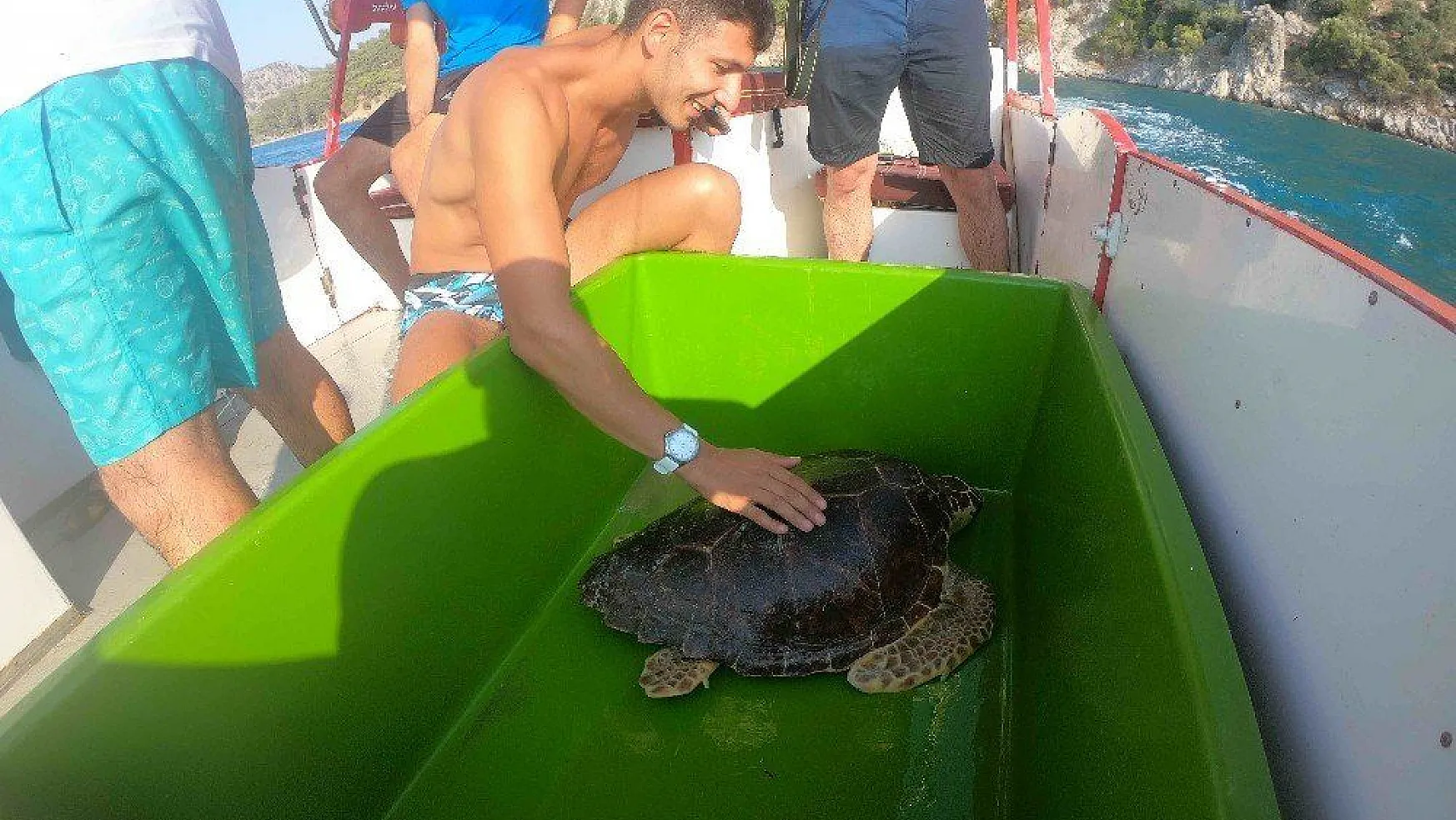 Profesyonel turist deniz kaplumbağalarının dünyasıyla tanıştı