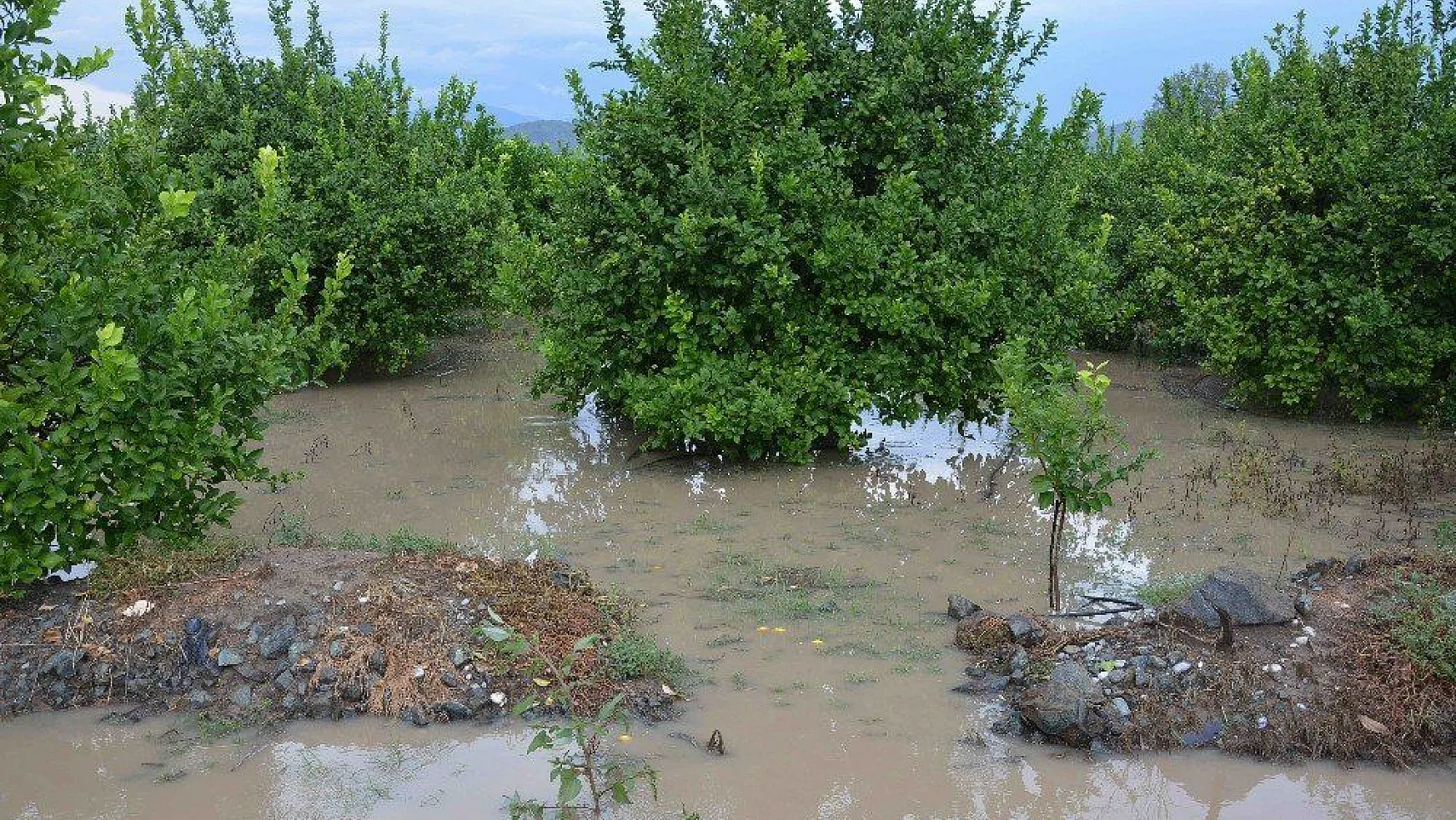 Ortaca'da şiddetli yağış hayatı olumsuz etkiledi