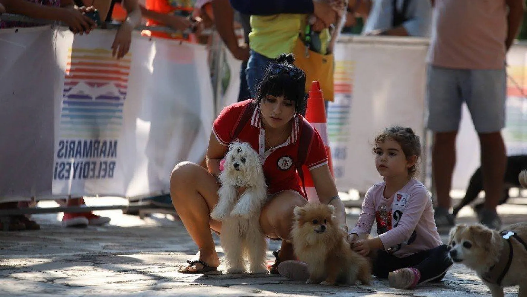 Marmaris'te köpek güzellik yarışması yapıldı