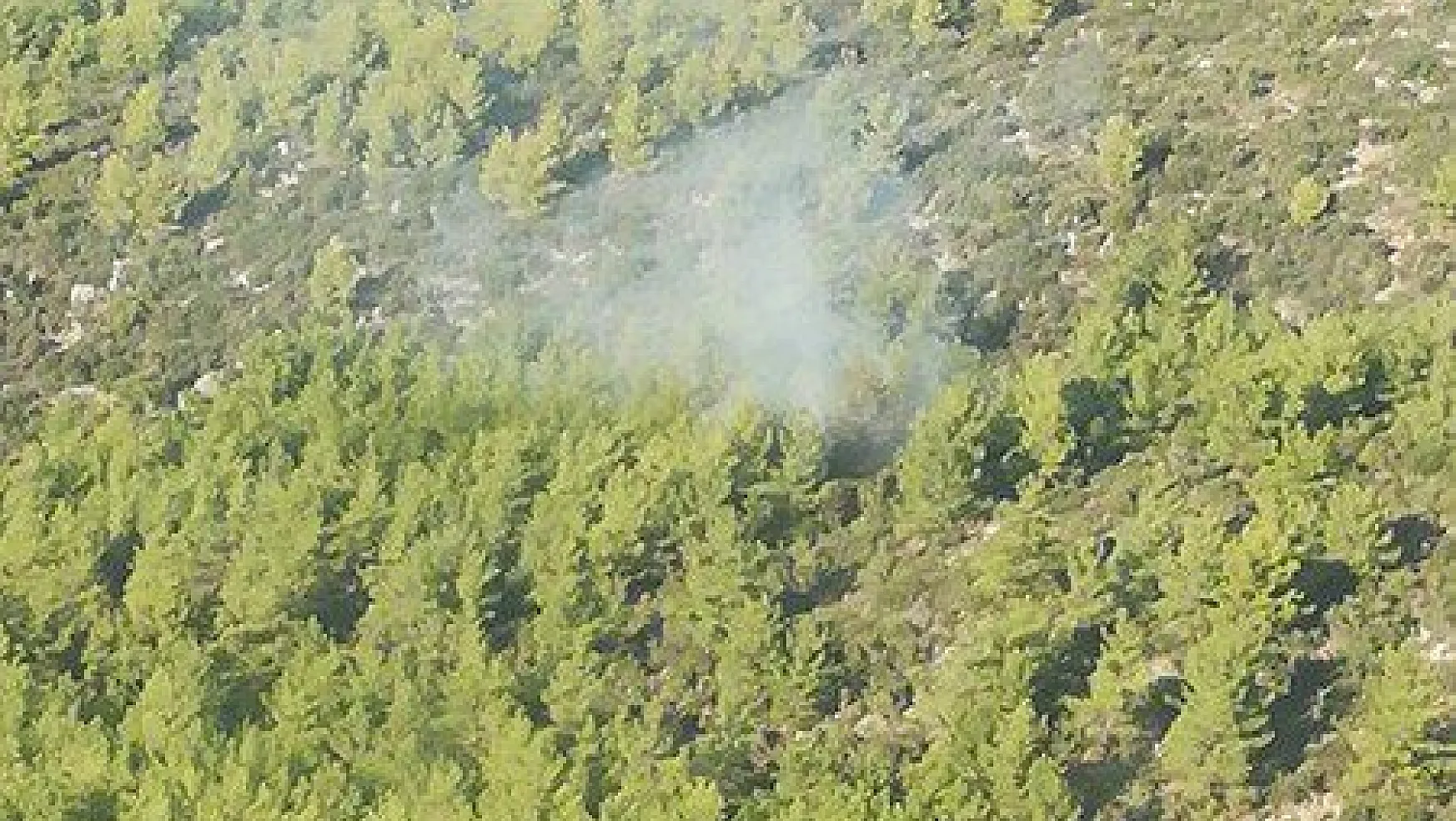 Milas'ta orman yangını kısa sürede söndürüldü