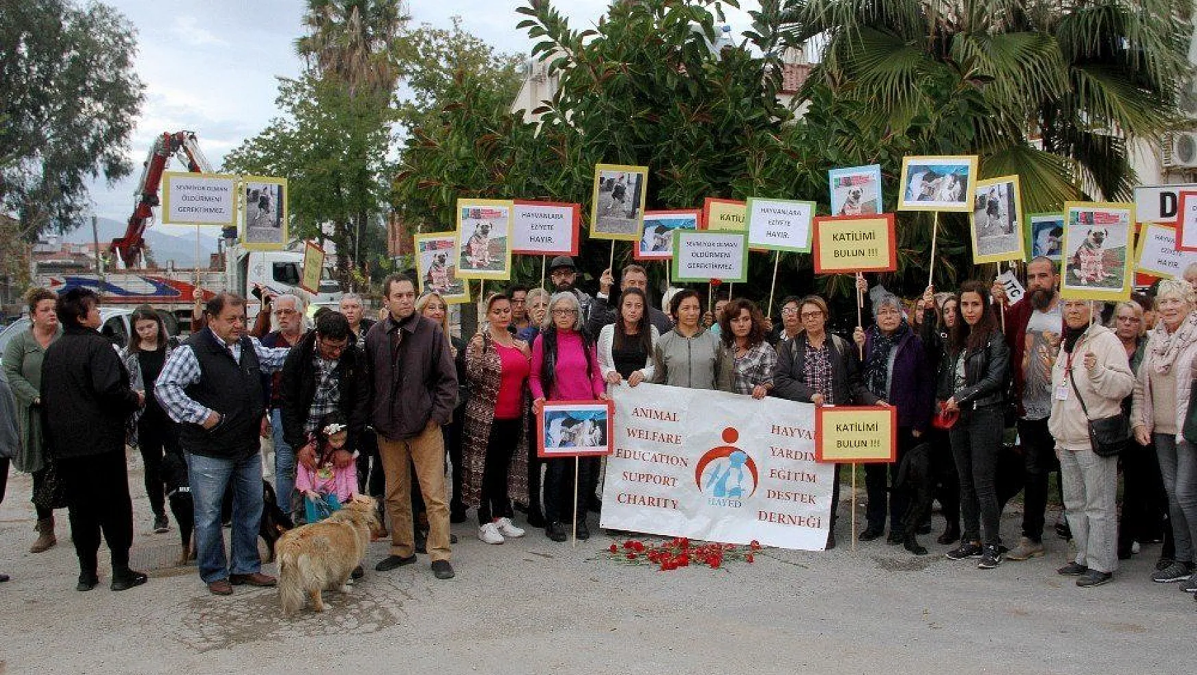 Fethiye'de iki köpeğin zehirlenerek öldürülmesi protesto edildi
