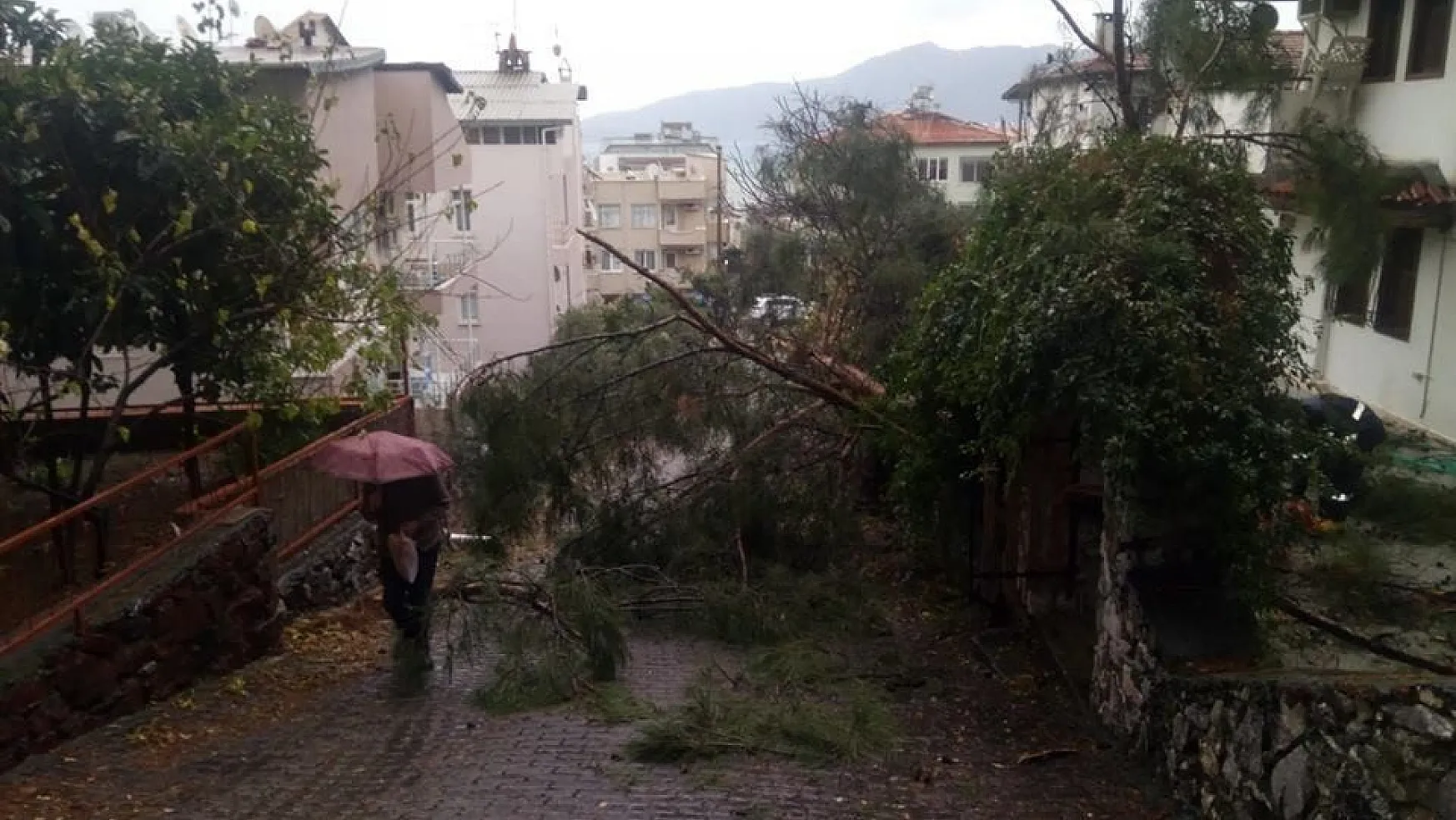 Marmaris'te devrilen ağaçlara belediye ekipleri müdahale etti