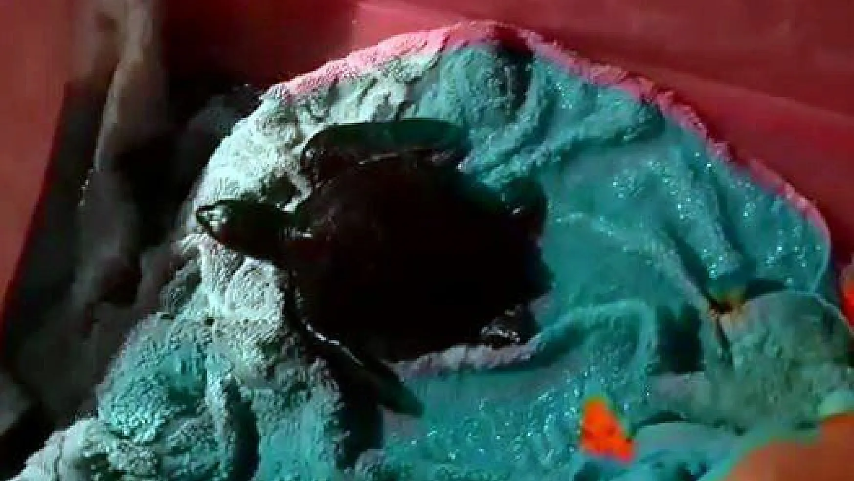 Zifte bulanan yavru deniz kaplumbağası tedavi altına alındı
