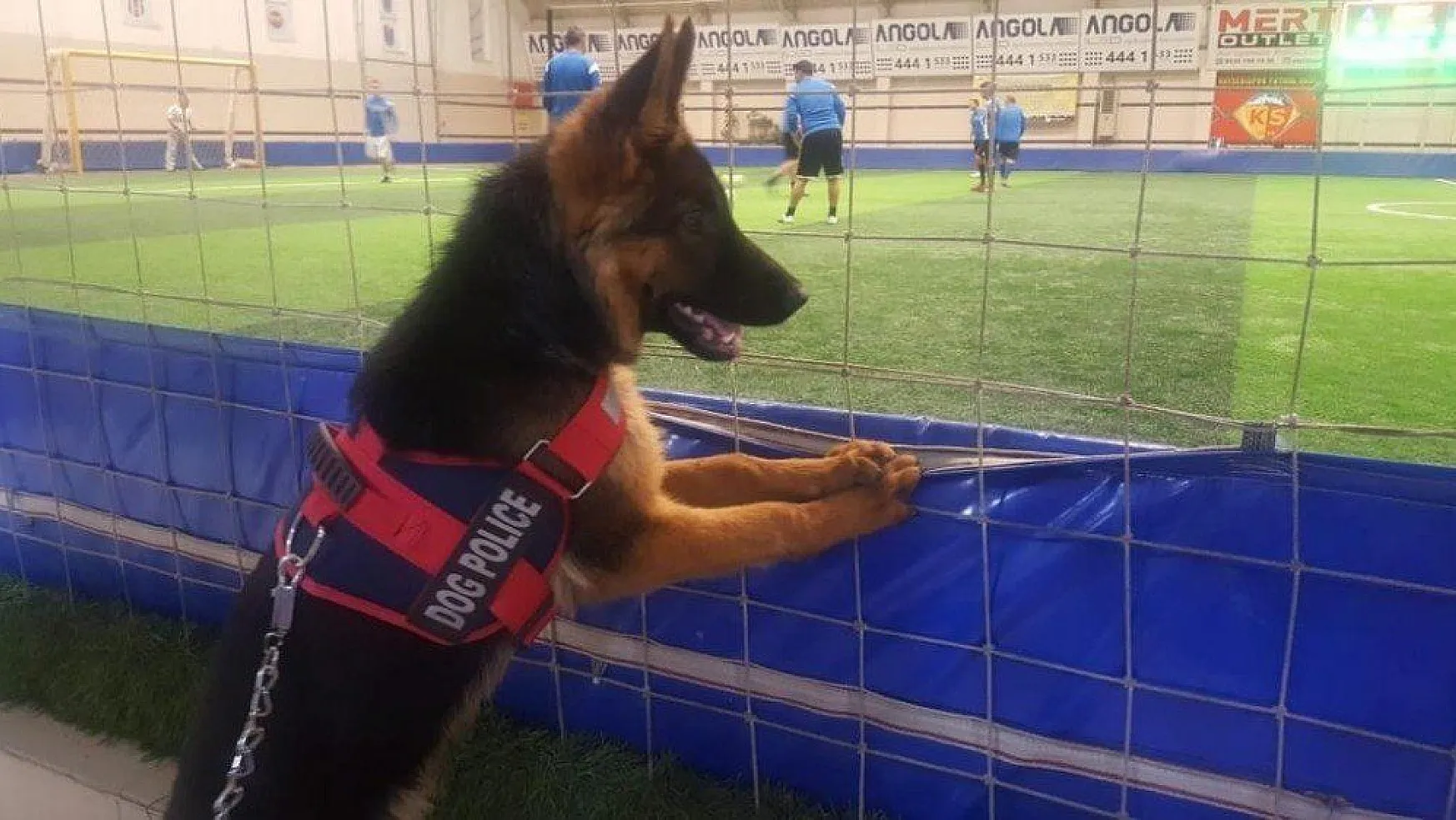 (Özel haber) Futbol düşkünü köpek görenleri hayretler içinde bırakıyor