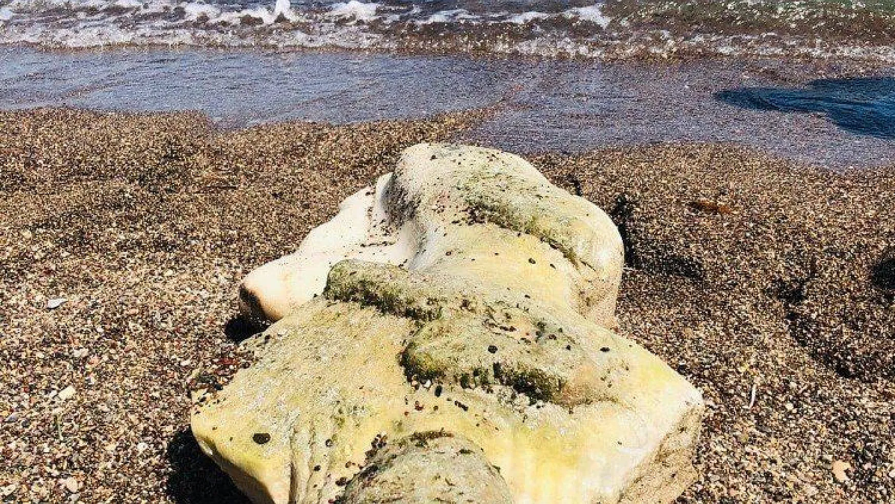 Denizde yüzerken kadın heykeli buldu