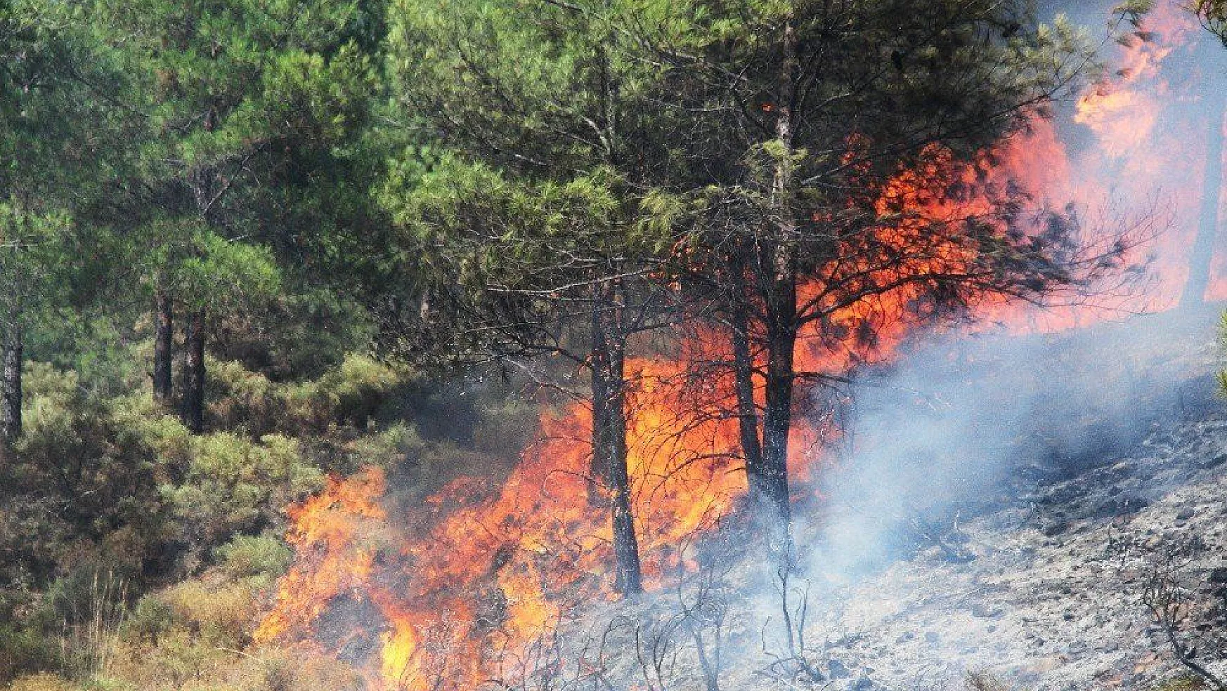 Fethiye'deki orman yangını kontrol altına alındı