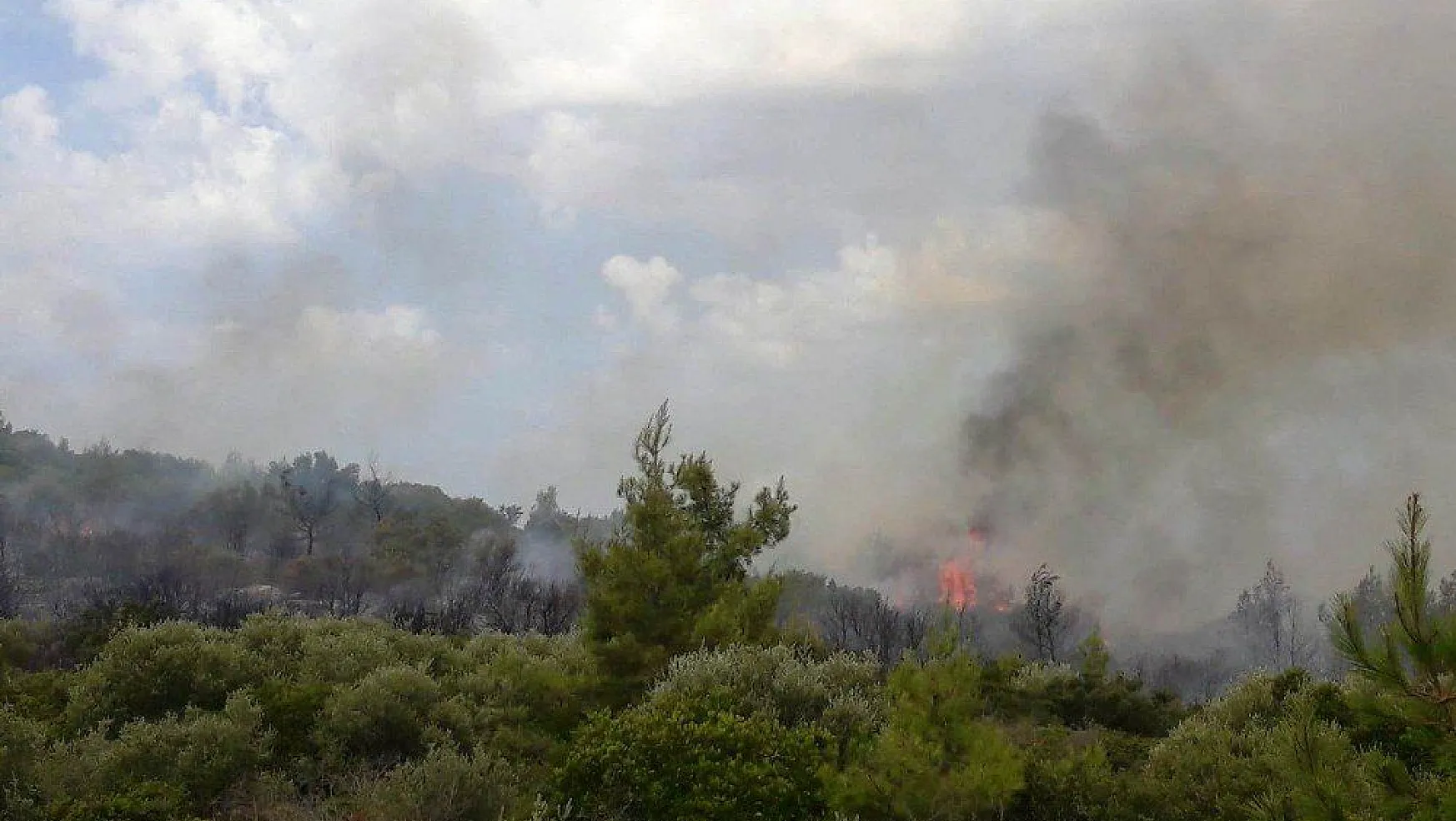 Muğla'da yeni bir orman yangını evleri tehdit ediyor