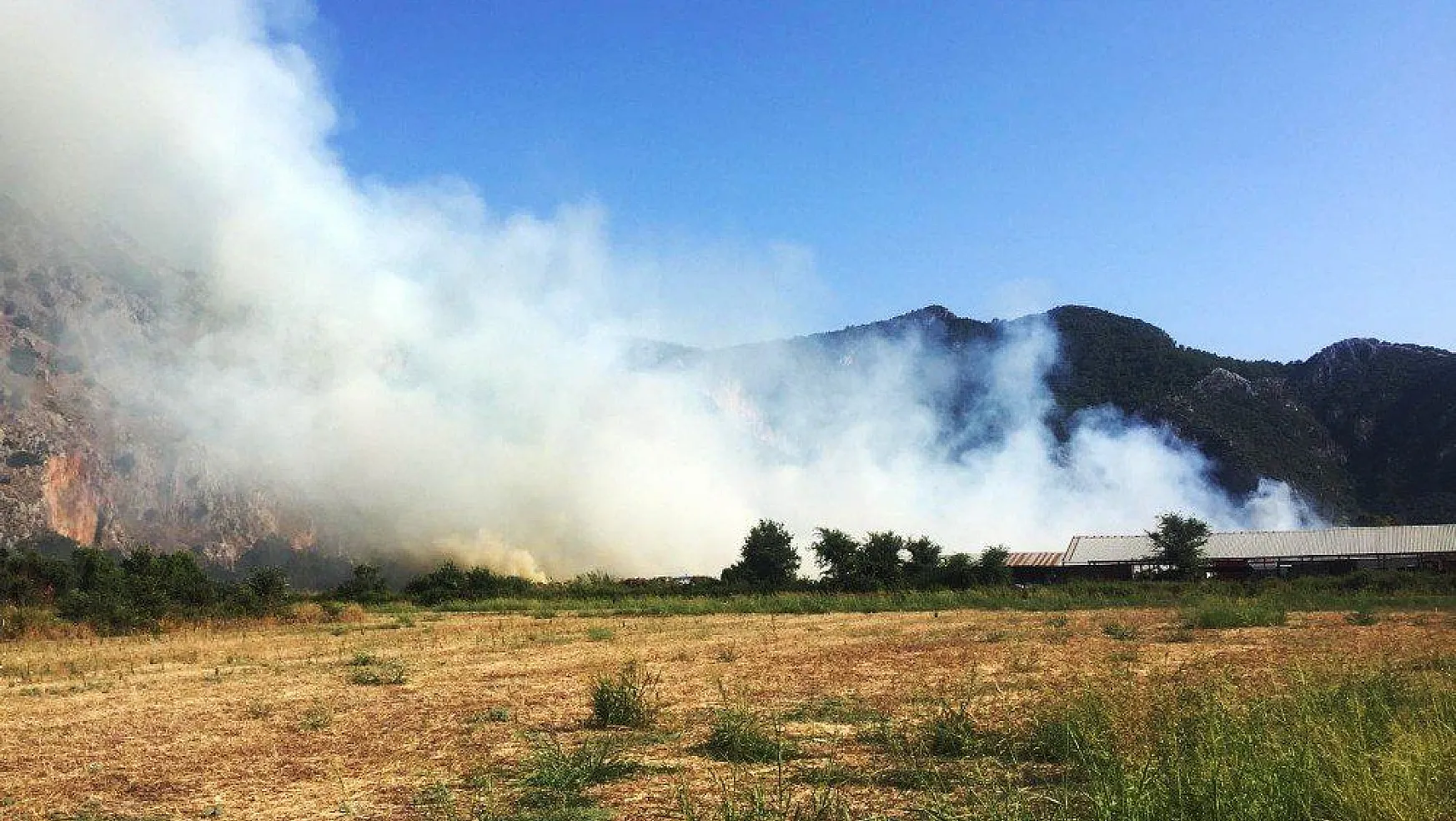 Dalyan'daki yangına havadan karadan müdahale ediliyor