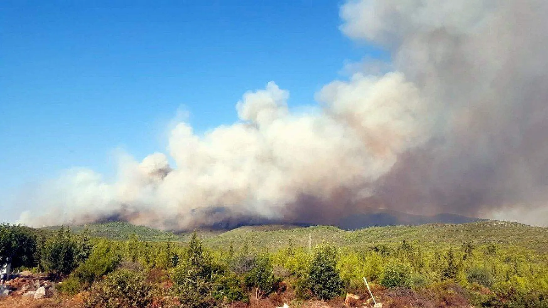 Muğla'daki orman yangınları devam ediyor